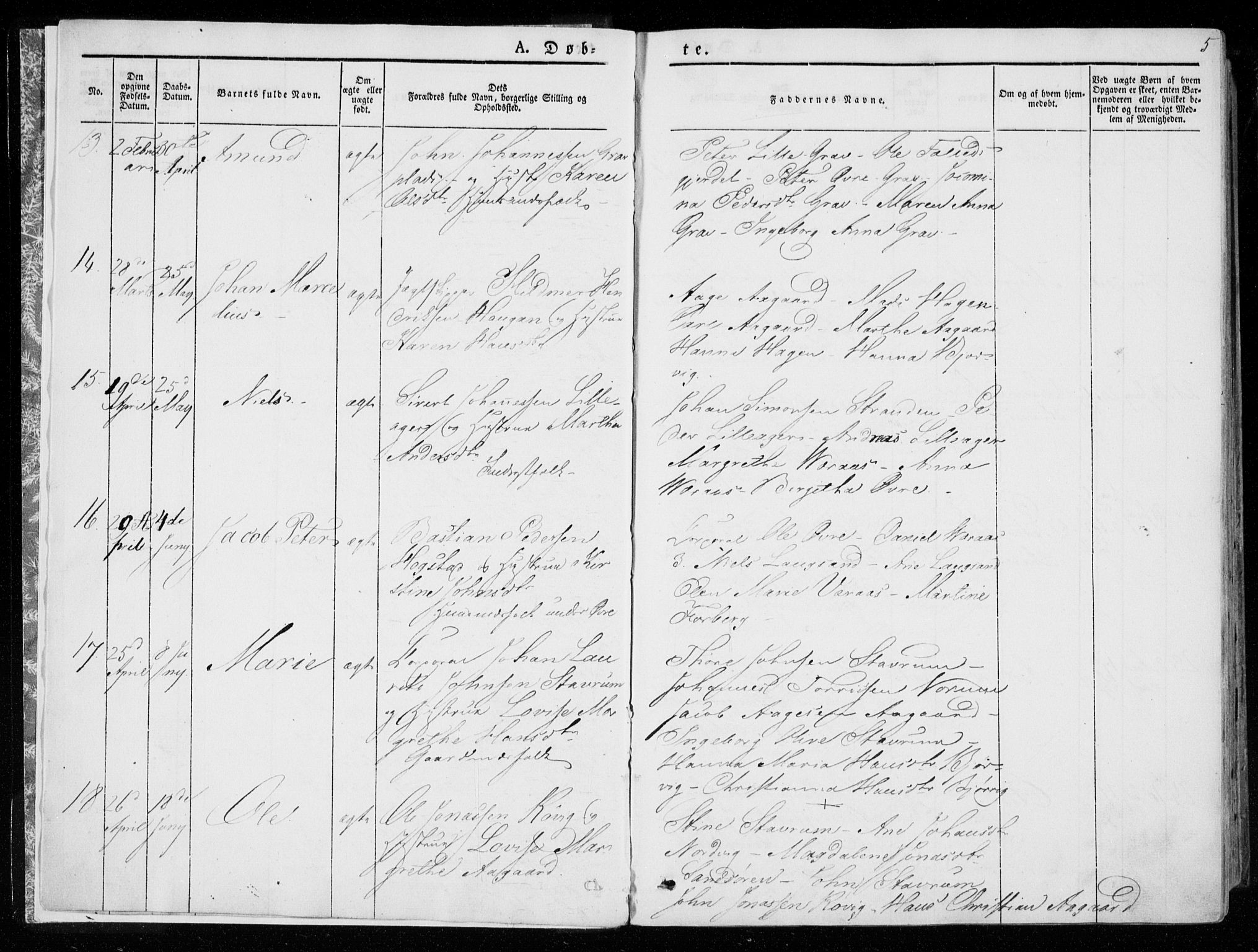 Ministerialprotokoller, klokkerbøker og fødselsregistre - Nord-Trøndelag, AV/SAT-A-1458/722/L0218: Parish register (official) no. 722A05, 1843-1868, p. 5