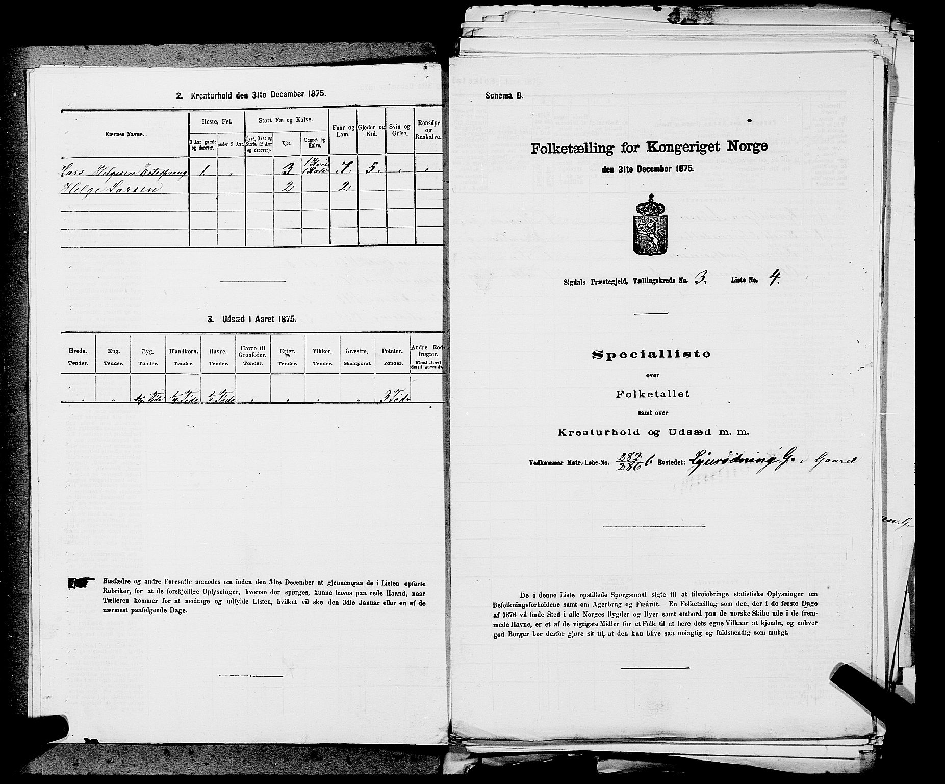 SAKO, 1875 census for 0621P Sigdal, 1875, p. 2139