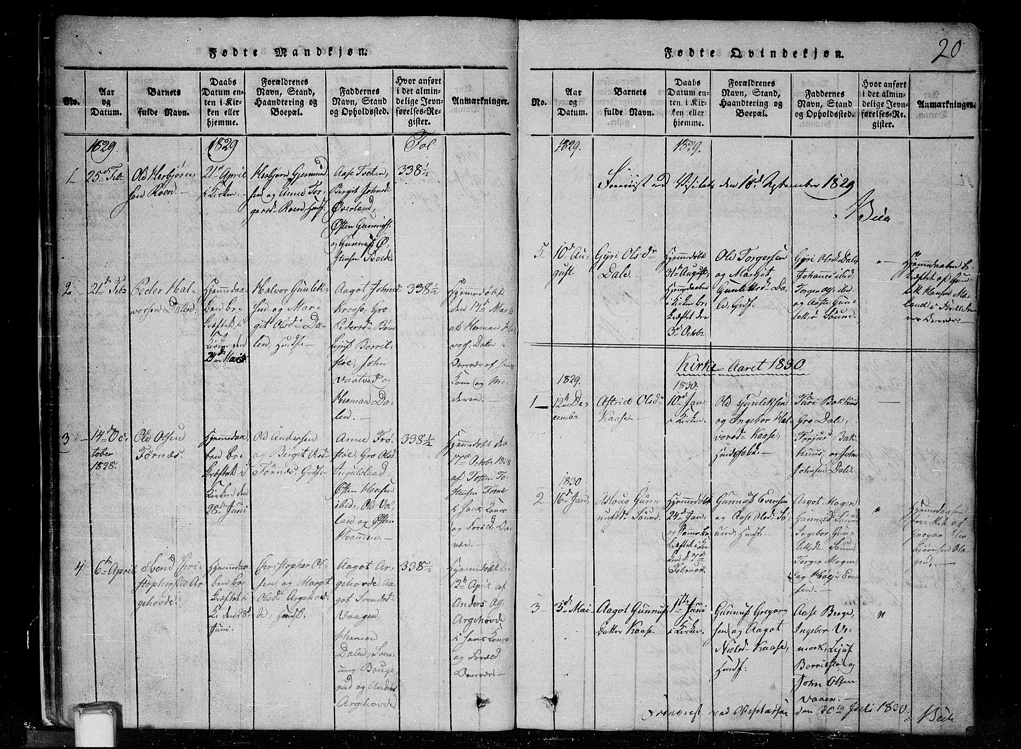 Tinn kirkebøker, SAKO/A-308/G/Gc/L0001: Parish register (copy) no. III 1, 1815-1879, p. 20