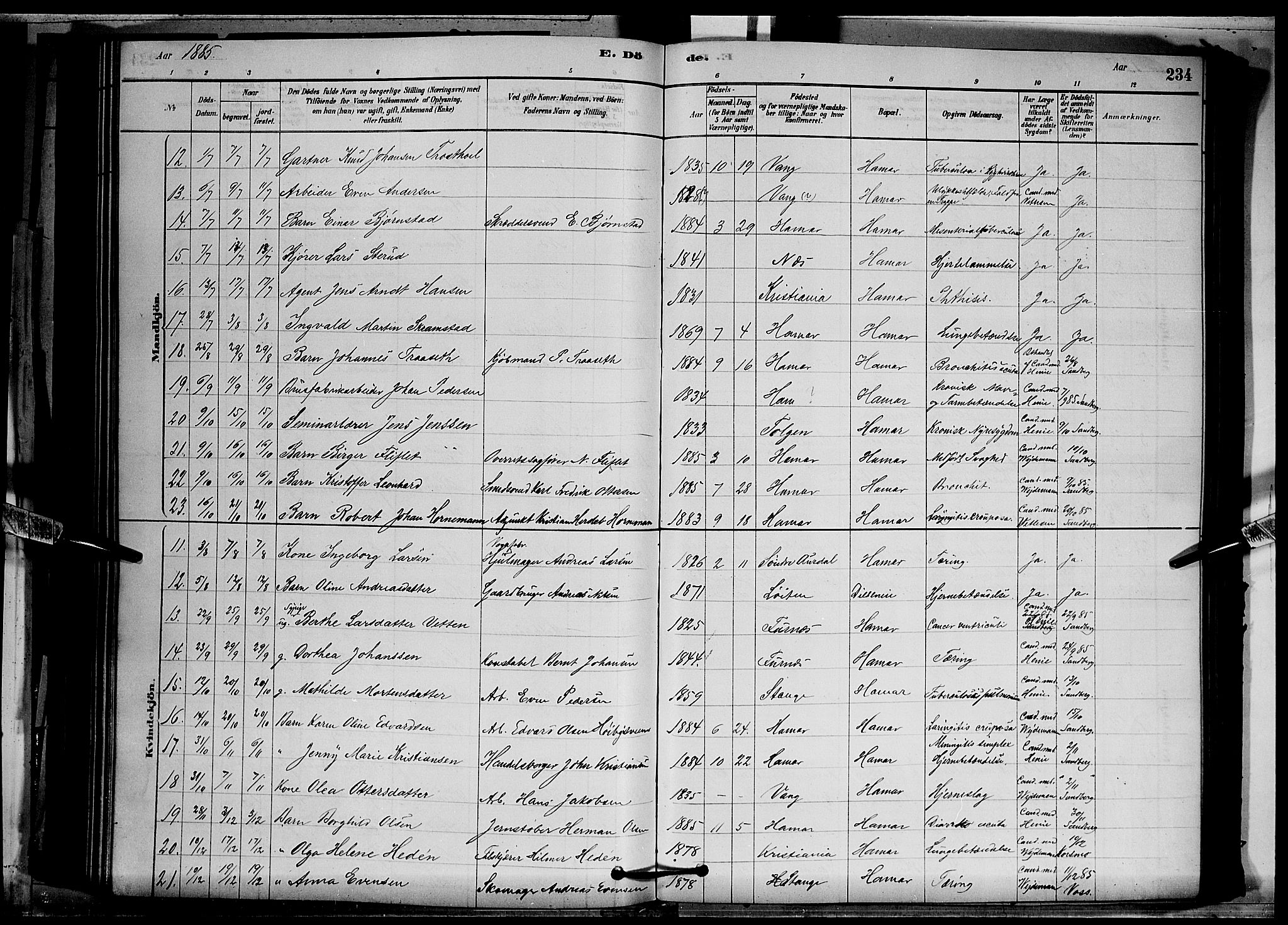 Vang prestekontor, Hedmark, SAH/PREST-008/H/Ha/Hab/L0012: Parish register (copy) no. 12, 1878-1889, p. 234
