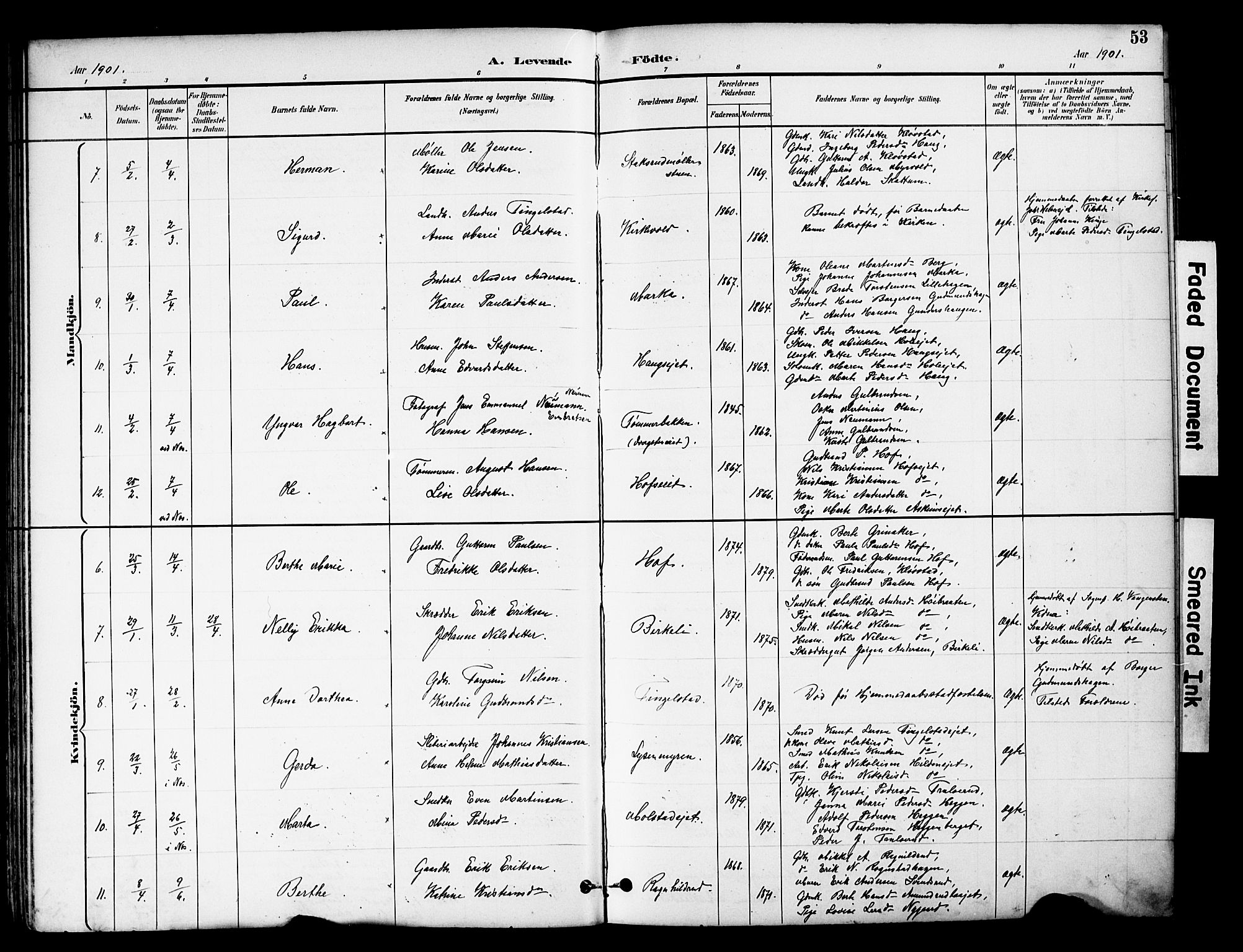 Brandbu prestekontor, SAH/PREST-114/H/Ha/Hab/L0006: Parish register (copy) no. 6, 1893-1902, p. 53