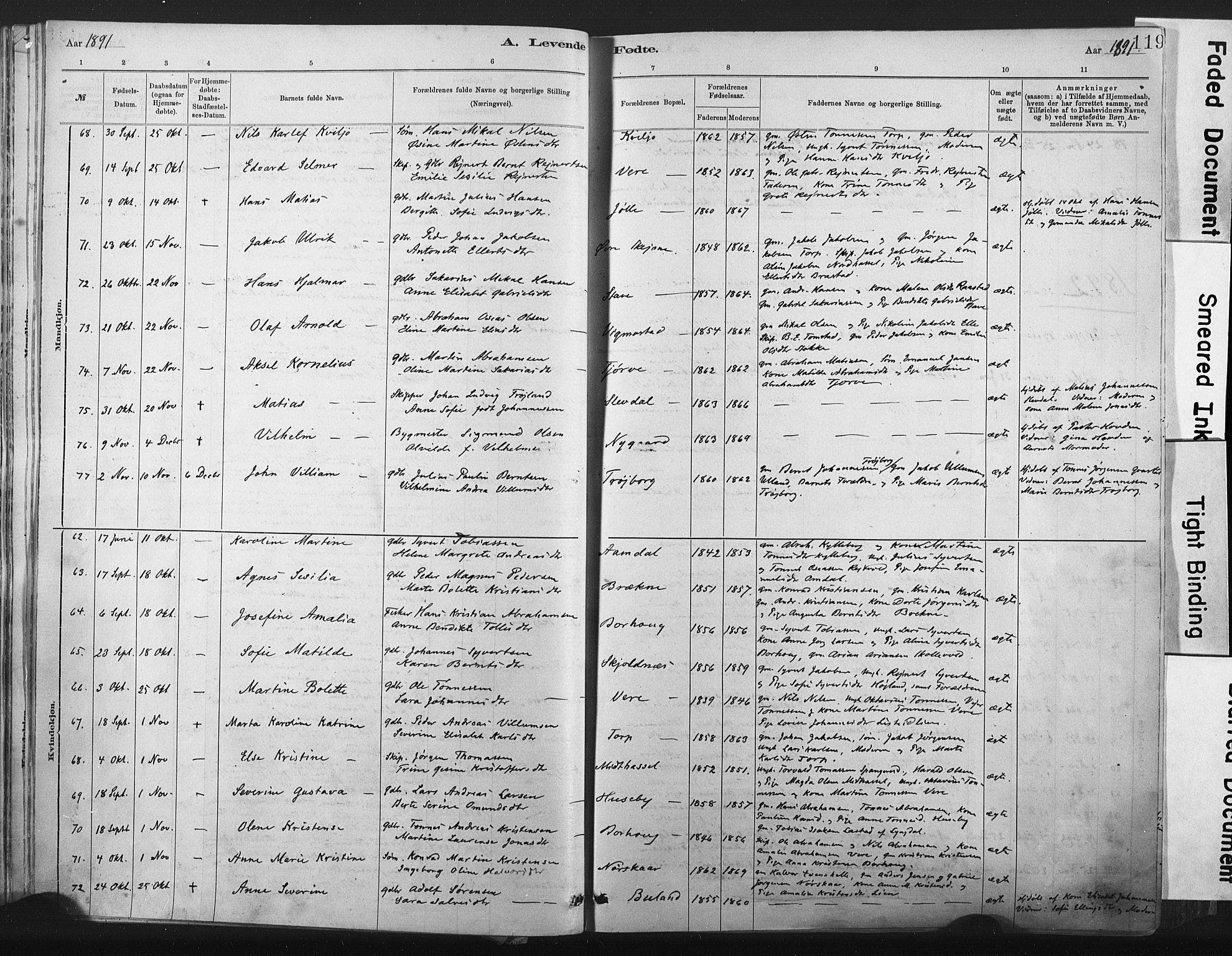 Lista sokneprestkontor, AV/SAK-1111-0027/F/Fa/L0012: Parish register (official) no. A 12, 1879-1903, p. 119