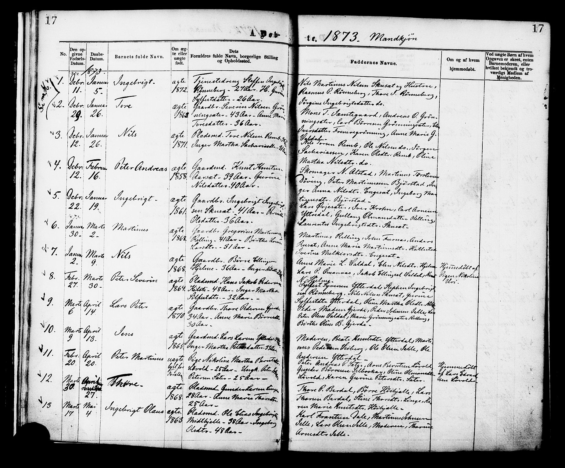 Ministerialprotokoller, klokkerbøker og fødselsregistre - Møre og Romsdal, SAT/A-1454/519/L0254: Parish register (official) no. 519A13, 1868-1883, p. 17