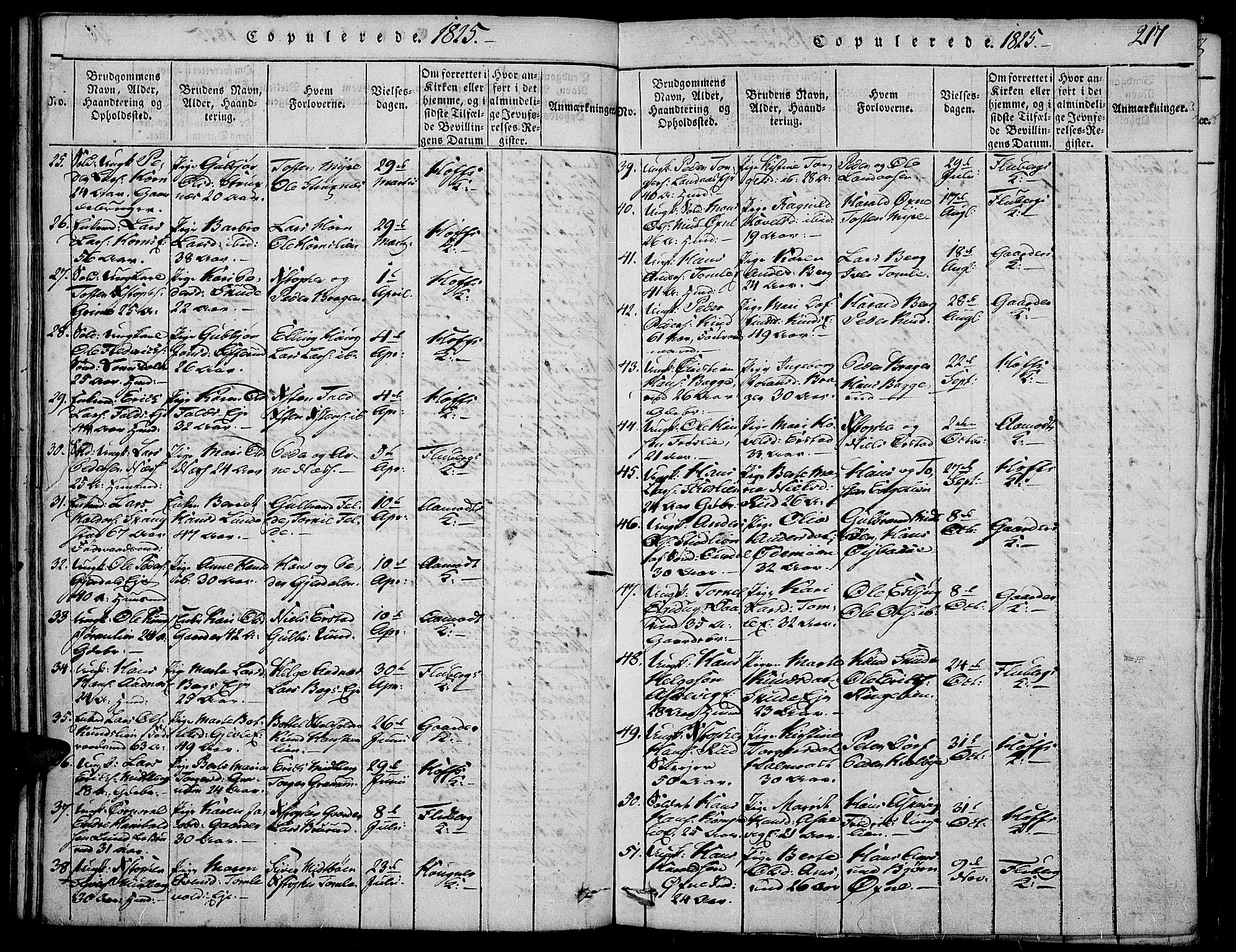 Land prestekontor, SAH/PREST-120/H/Ha/Haa/L0007: Parish register (official) no. 7, 1814-1830, p. 217