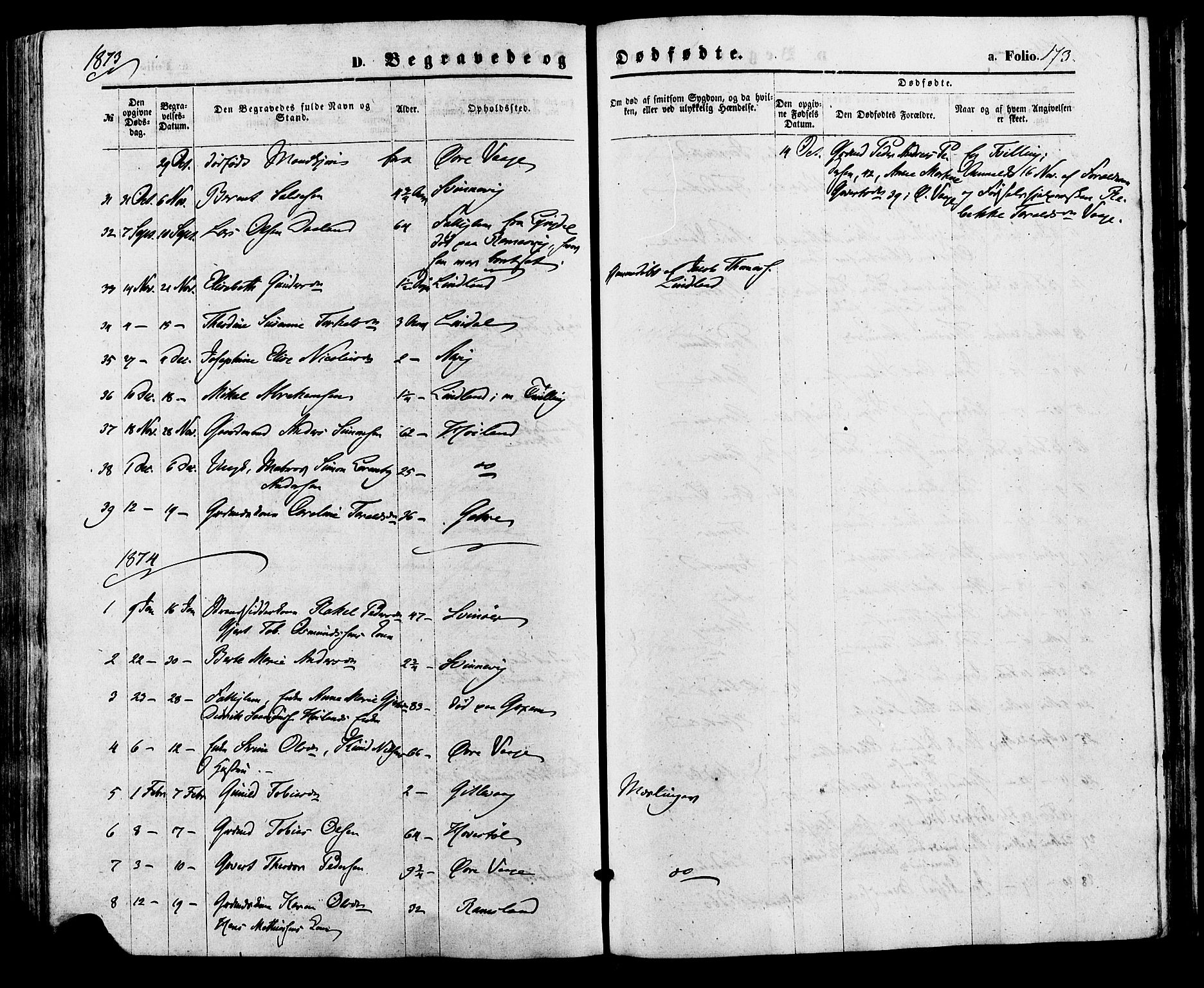 Sør-Audnedal sokneprestkontor, AV/SAK-1111-0039/F/Fa/Faa/L0003: Parish register (official) no. A 3, 1868-1883, p. 173