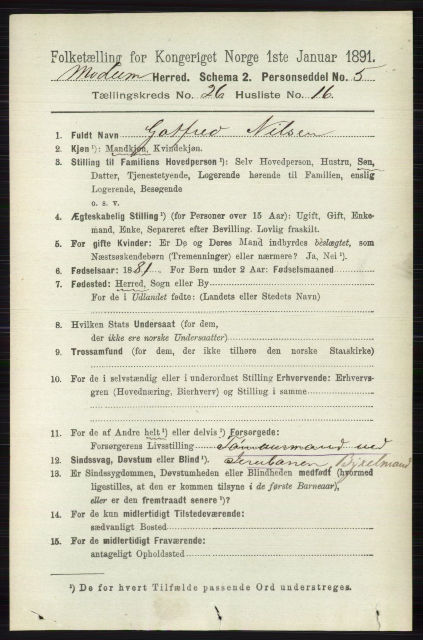 RA, 1891 census for 0623 Modum, 1891, p. 9502