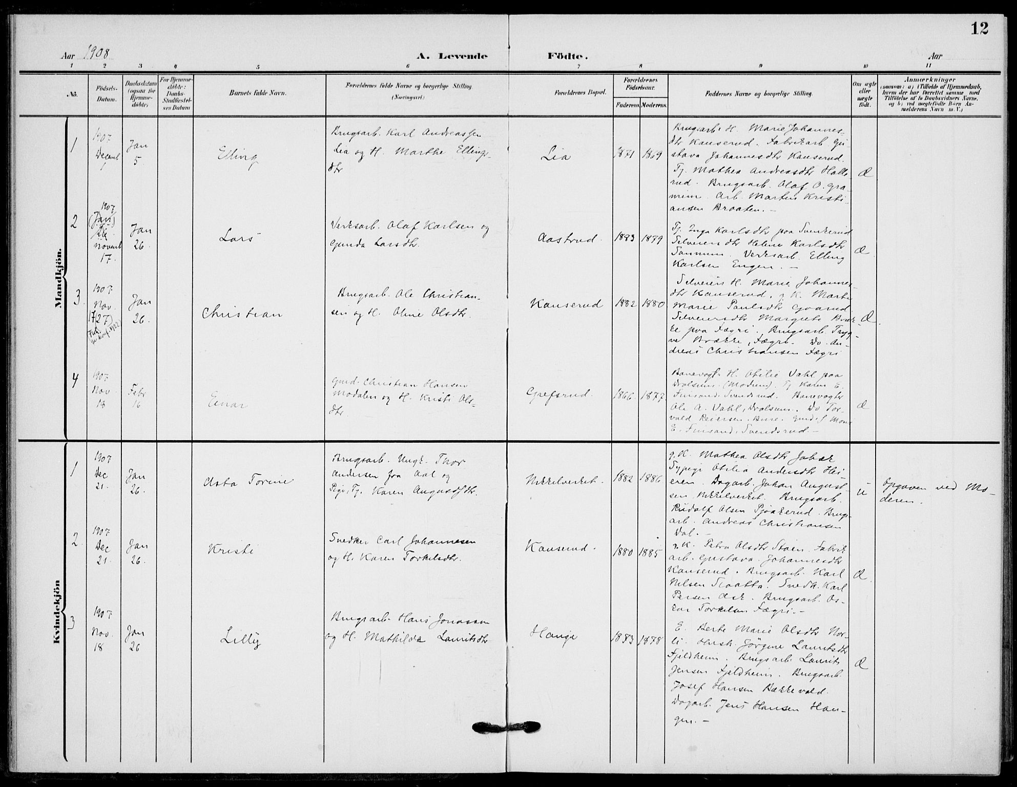 Hole kirkebøker, AV/SAKO-A-228/F/Fb/L0003: Parish register (official) no. II 3, 1906-1916, p. 12