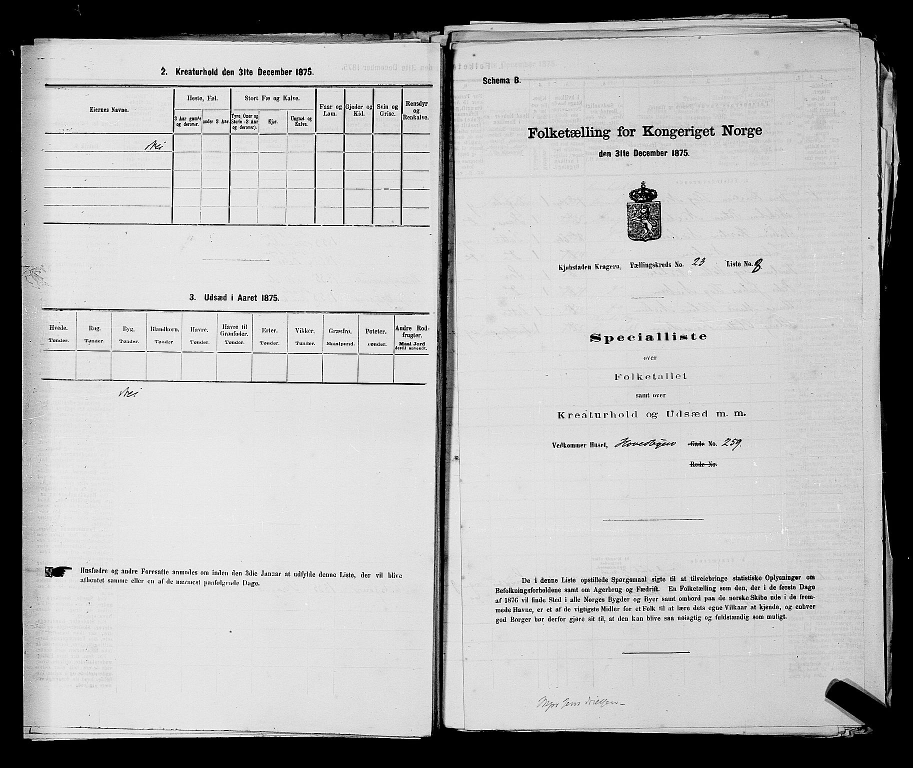 SAKO, 1875 census for 0801P Kragerø, 1875, p. 505