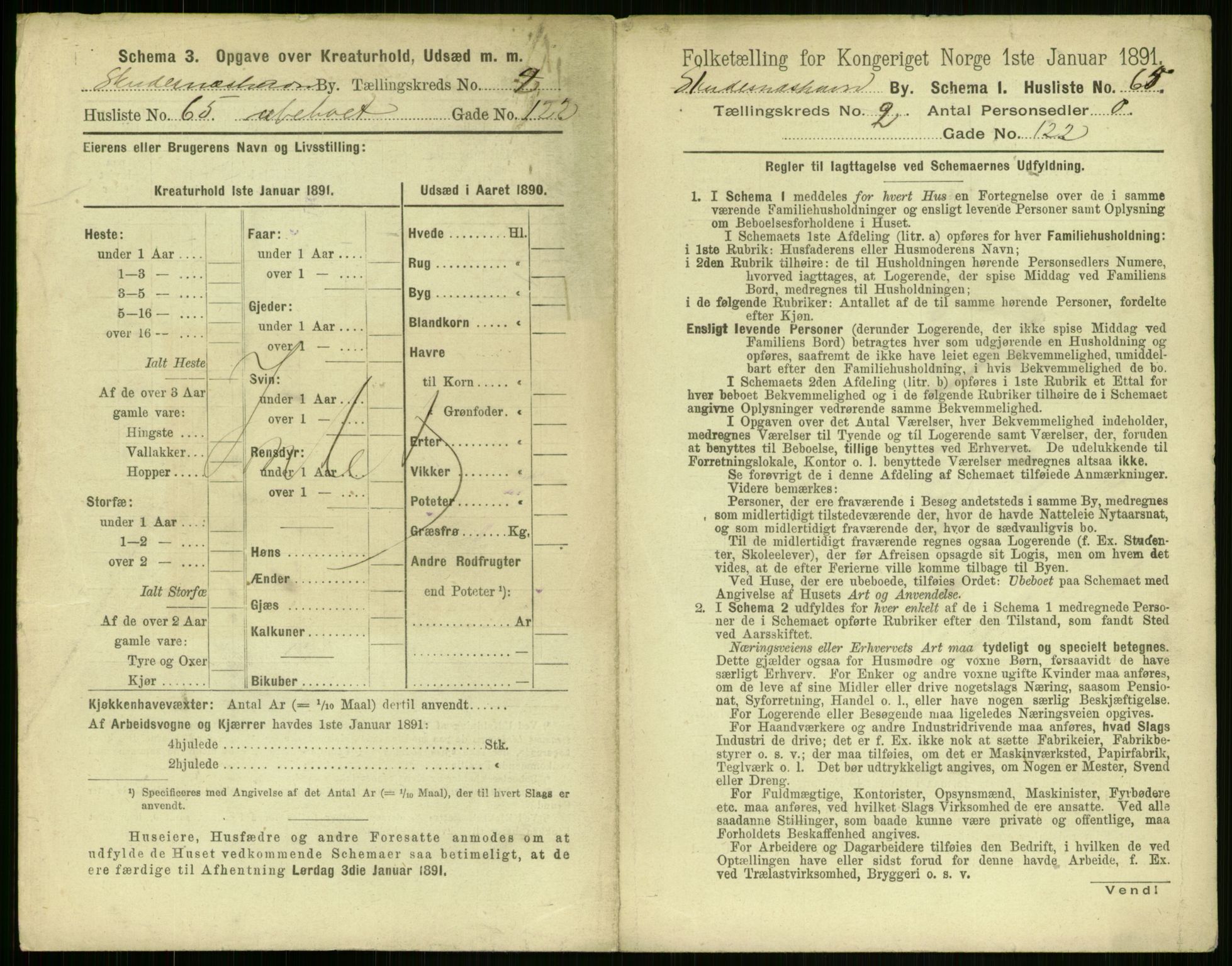 RA, 1891 census for 1104 Skudeneshavn, 1891, p. 188