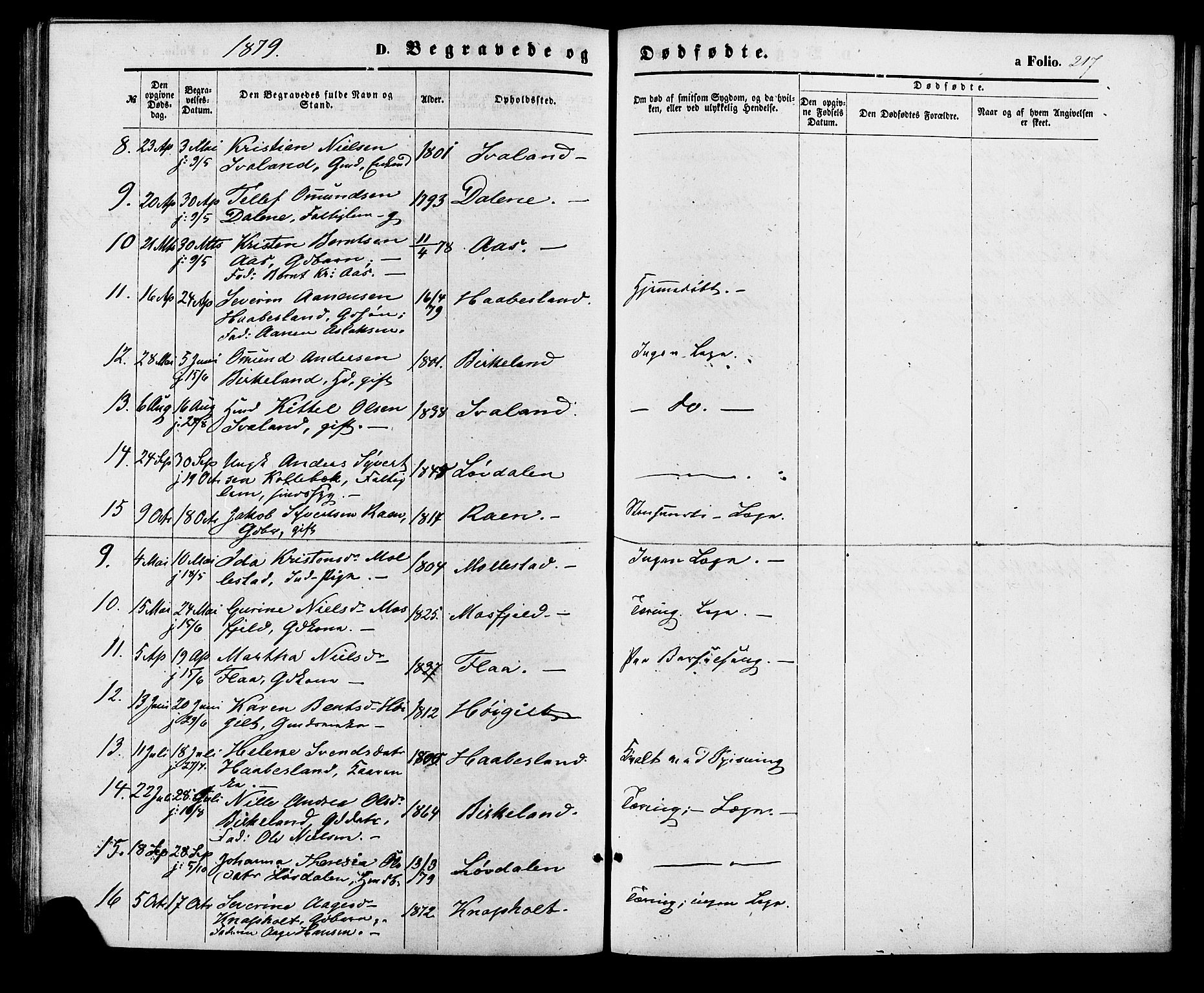 Birkenes sokneprestkontor, AV/SAK-1111-0004/F/Fa/L0004: Parish register (official) no. A 4, 1867-1886, p. 217