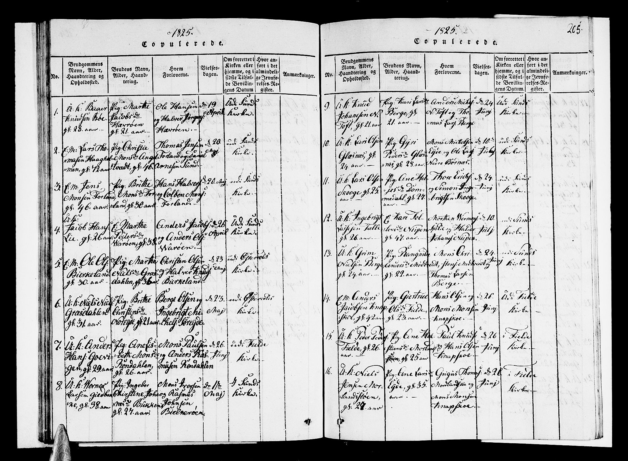 Sund sokneprestembete, SAB/A-99930: Parish register (copy) no. A 1, 1816-1827, p. 205