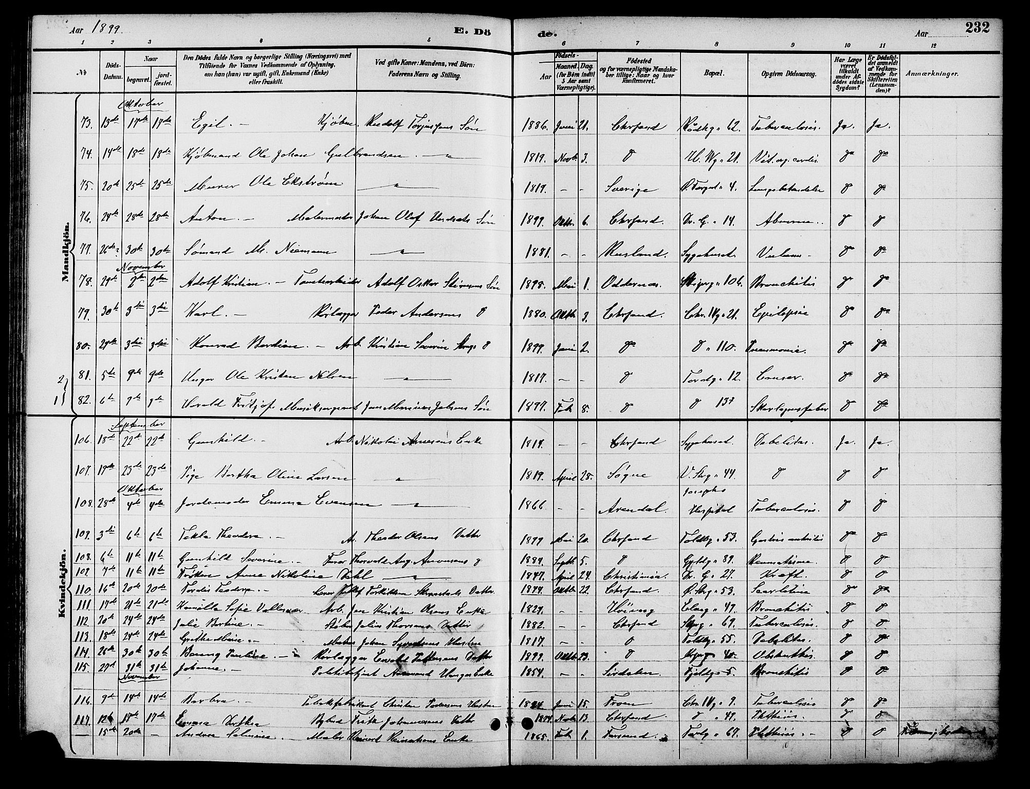 Kristiansand domprosti, SAK/1112-0006/F/Fb/L0017: Parish register (copy) no. B 17, 1893-1906, p. 232