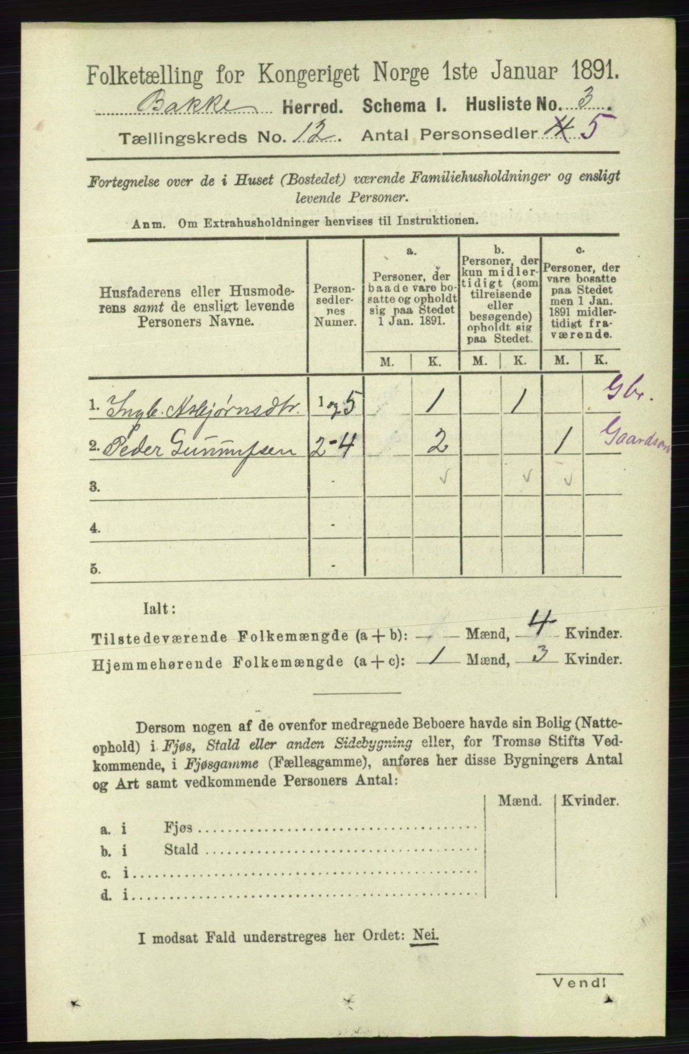 RA, 1891 census for 1045 Bakke, 1891, p. 2381