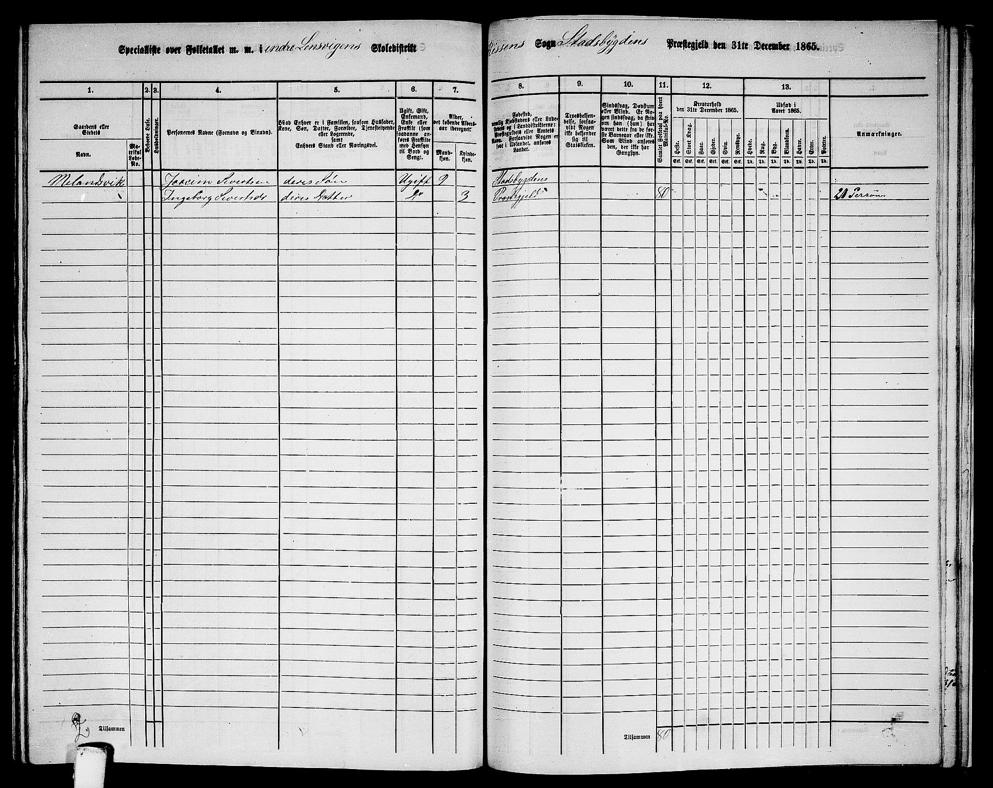 RA, 1865 census for Stadsbygd, 1865, p. 210