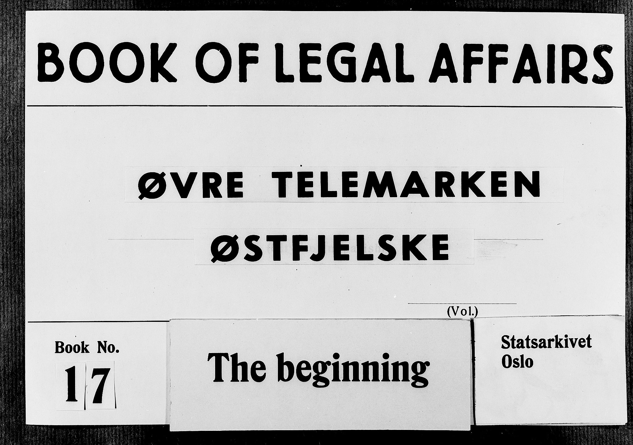 Øvre Telemark østfjelske sorenskriveri, AV/SAKO-A-213/F/Fa/Faa/L0017: Tingbok, 1689-1691