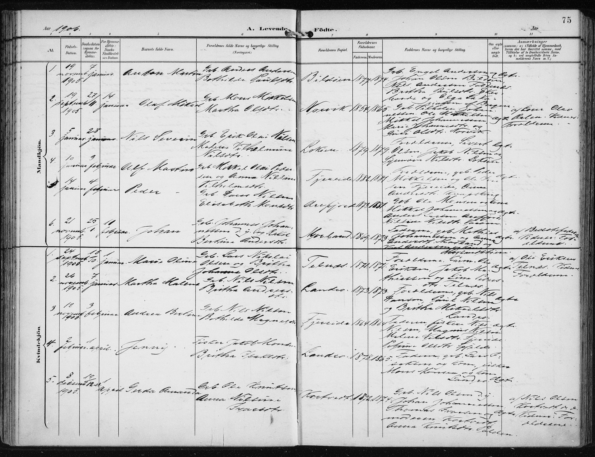 Fjell sokneprestembete, SAB/A-75301/H/Haa: Parish register (official) no. A  9, 1899-1910, p. 75