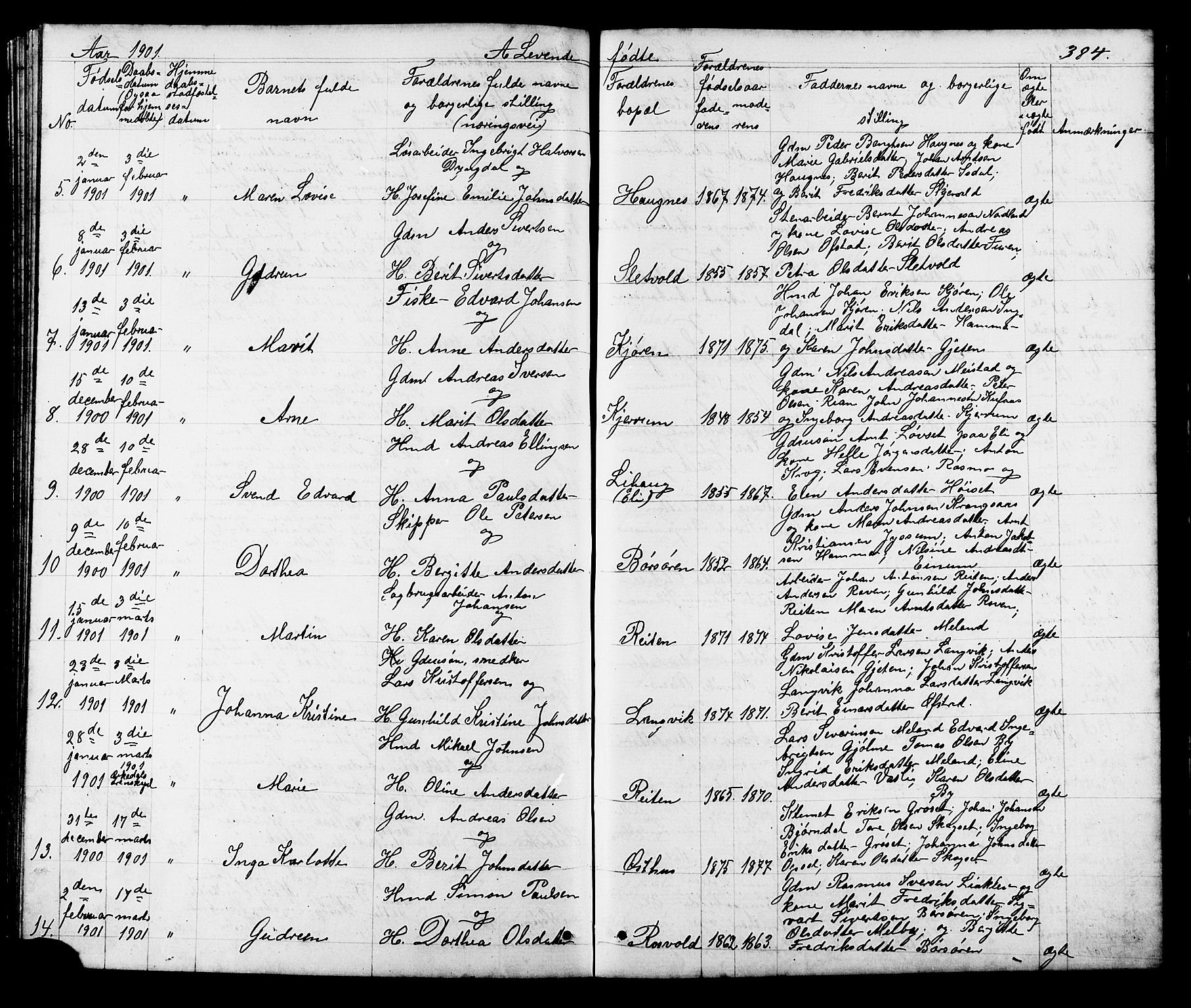 Ministerialprotokoller, klokkerbøker og fødselsregistre - Sør-Trøndelag, SAT/A-1456/665/L0777: Parish register (copy) no. 665C02, 1867-1915, p. 384