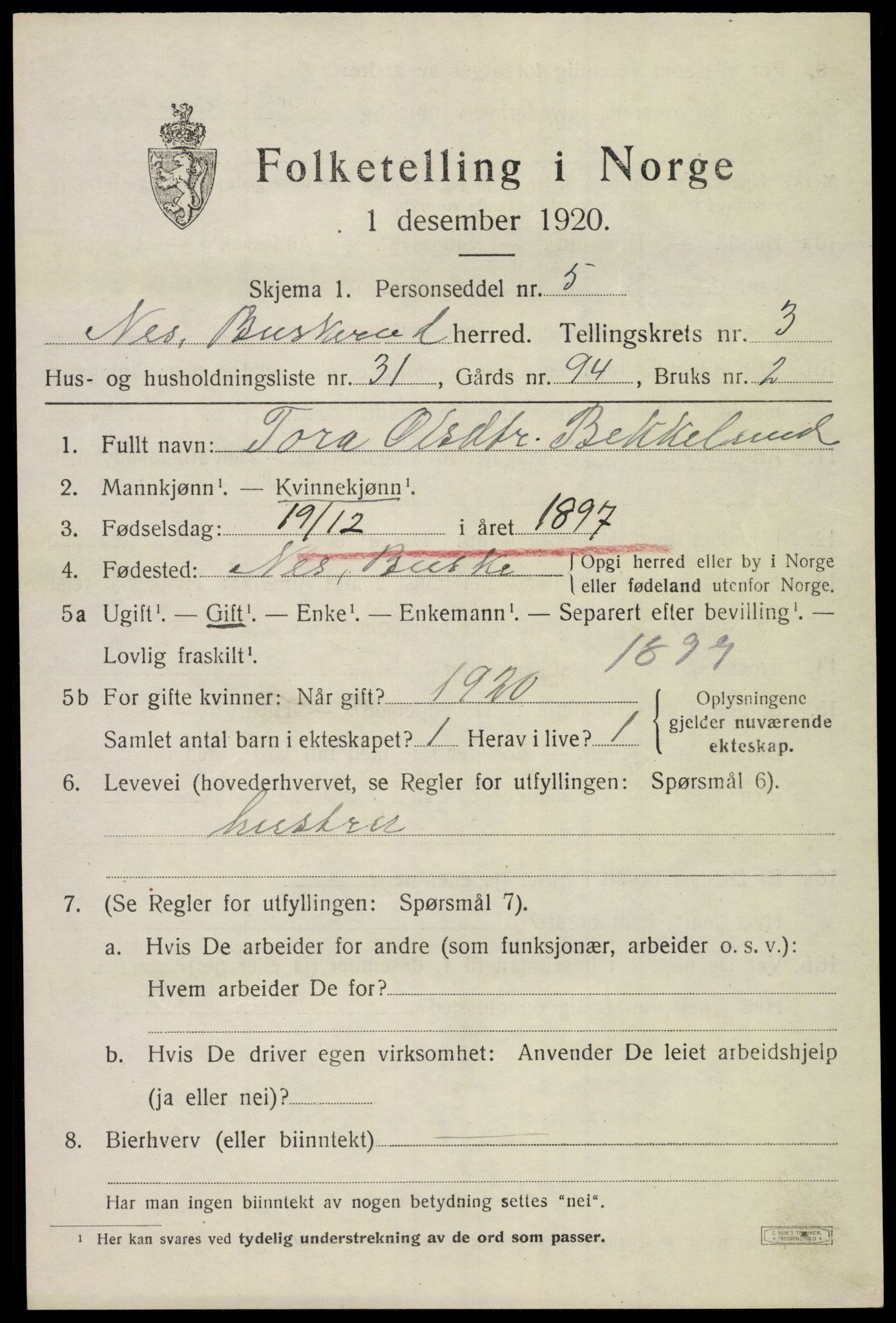 SAKO, 1920 census for Nes (Buskerud), 1920, p. 1926
