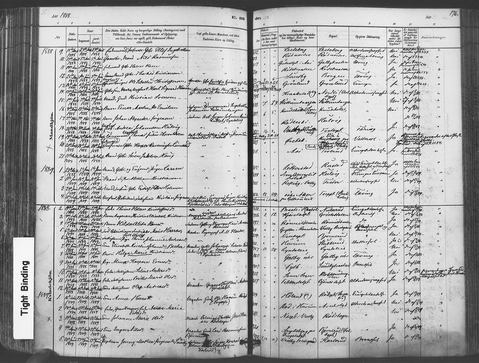 Vestby prestekontor Kirkebøker, AV/SAO-A-10893/F/Fa/L0009: Parish register (official) no. I 9, 1878-1900, p. 176