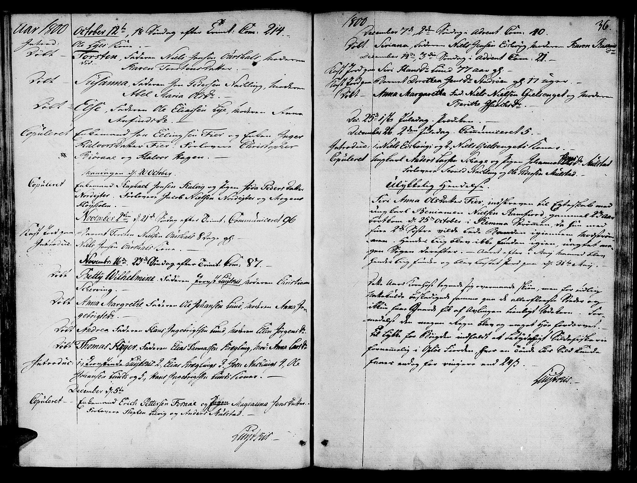 Ministerialprotokoller, klokkerbøker og fødselsregistre - Nord-Trøndelag, SAT/A-1458/780/L0633: Parish register (official) no. 780A02 /1, 1787-1814, p. 36