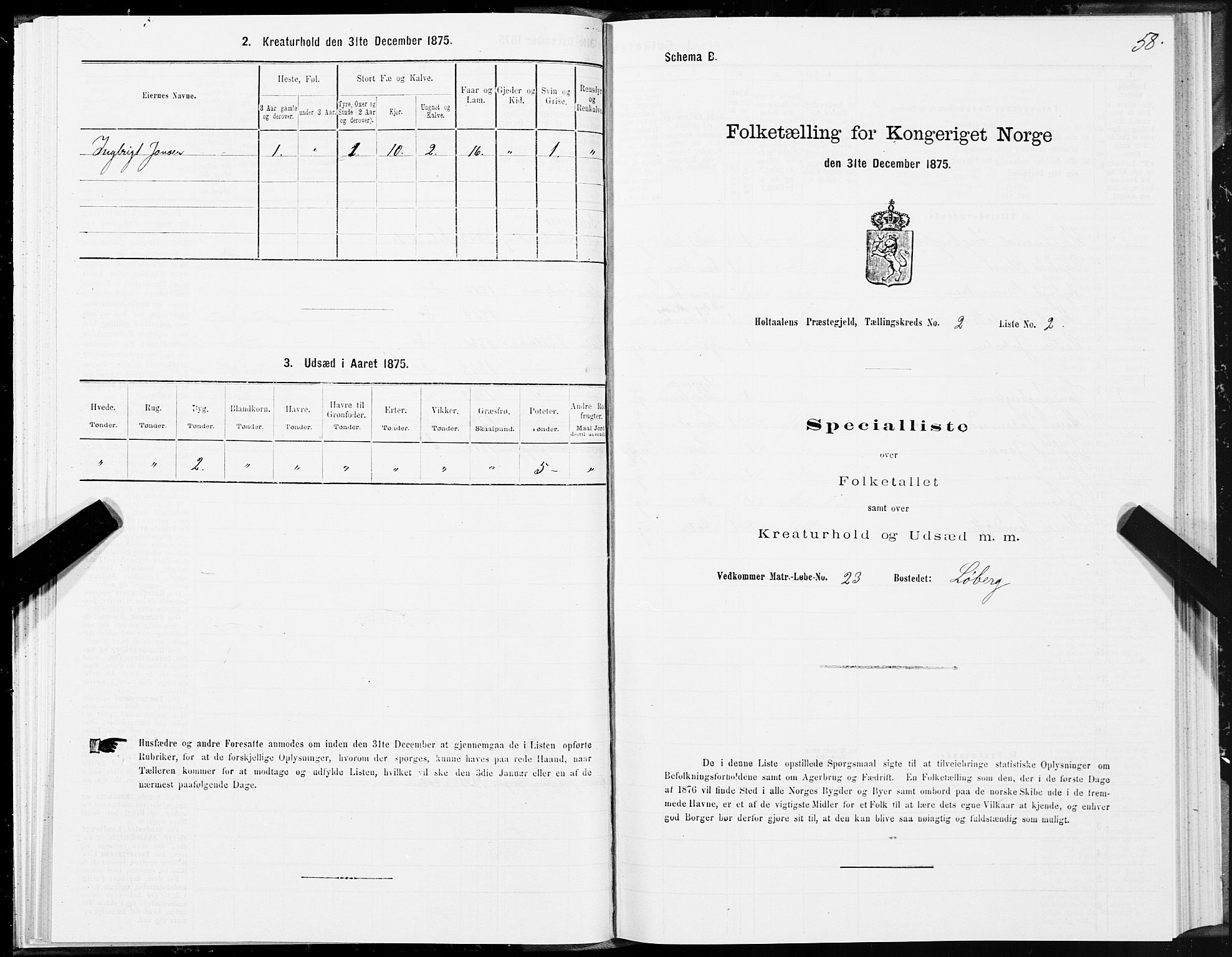 SAT, 1875 census for 1645P Haltdalen, 1875, p. 4058