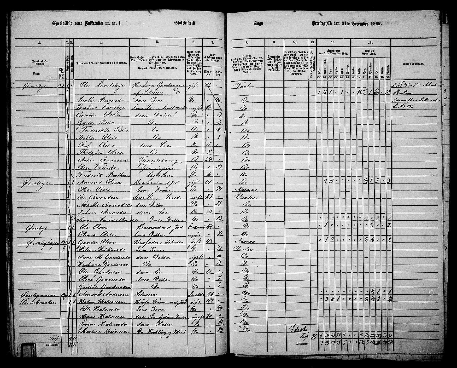 RA, 1865 census for Våler, 1865, p. 82