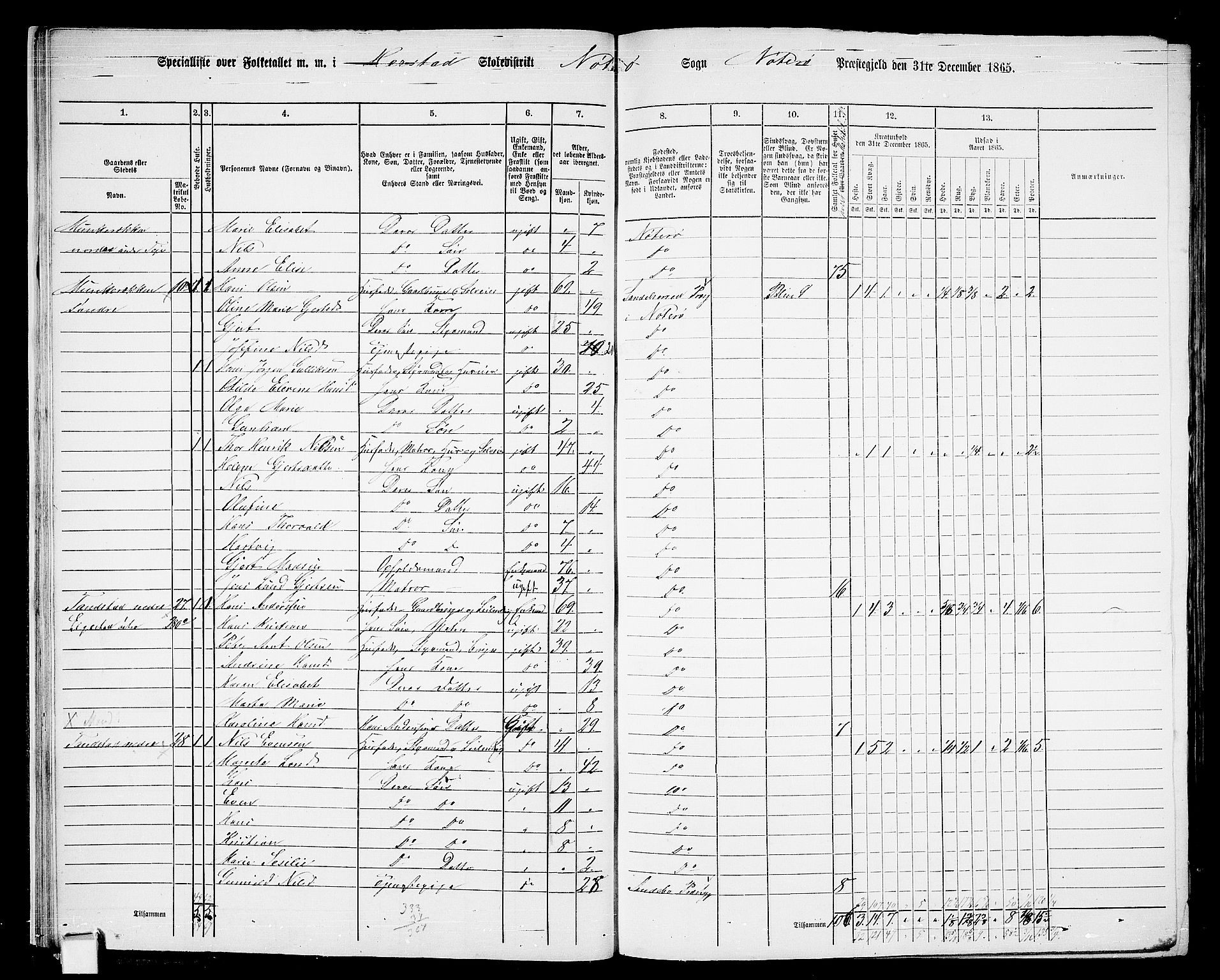 RA, 1865 census for Nøtterøy, 1865, p. 24