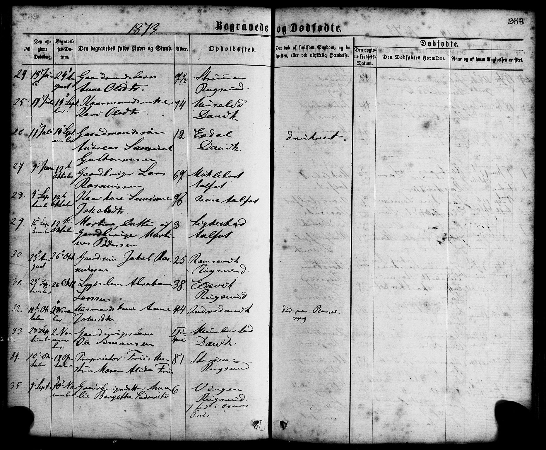 Davik sokneprestembete, SAB/A-79701/H/Haa/Haaa/L0006: Parish register (official) no. A 6, 1867-1881, p. 263
