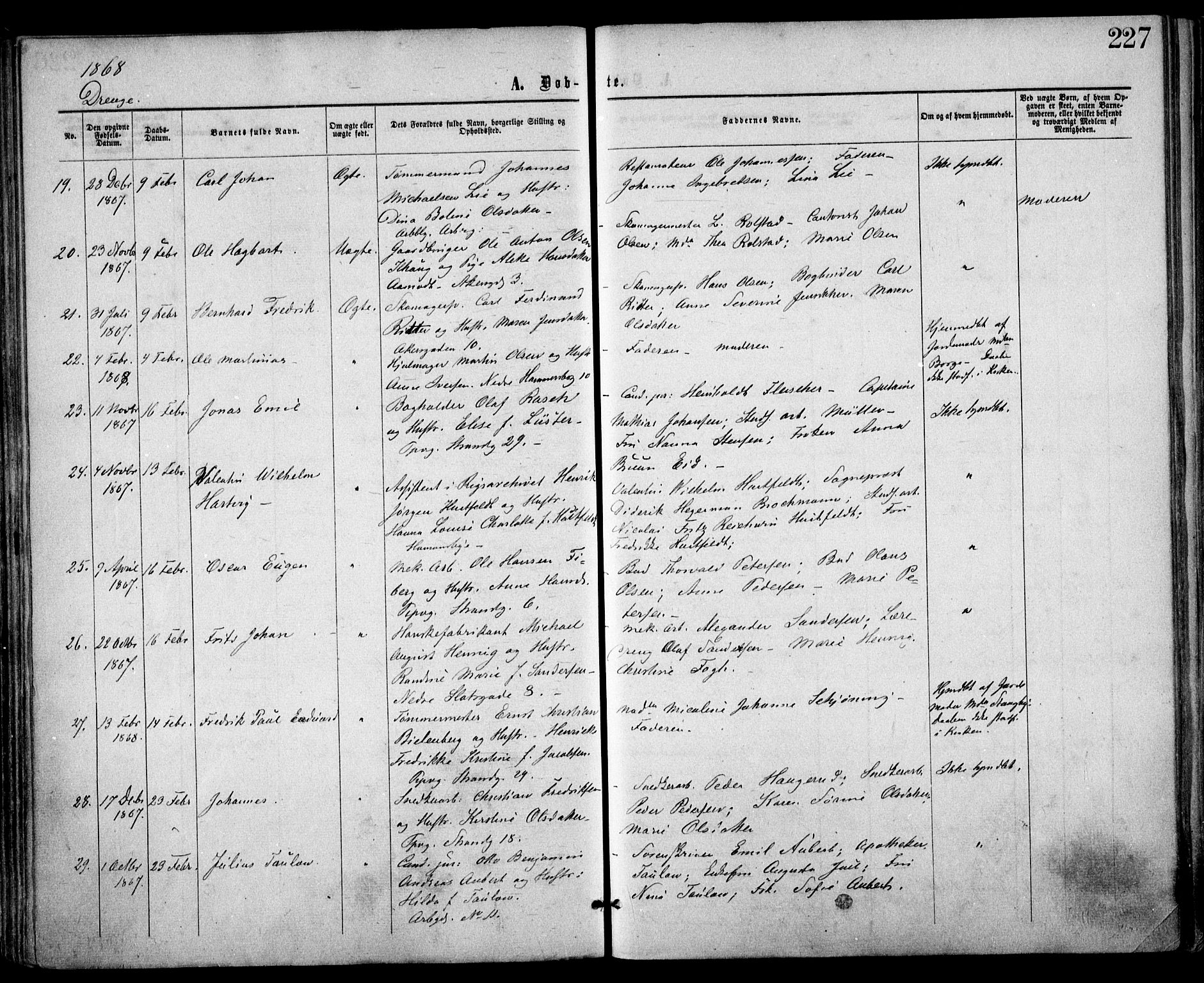 Trefoldighet prestekontor Kirkebøker, AV/SAO-A-10882/F/Fa/L0002: Parish register (official) no. I 2, 1863-1870, p. 227