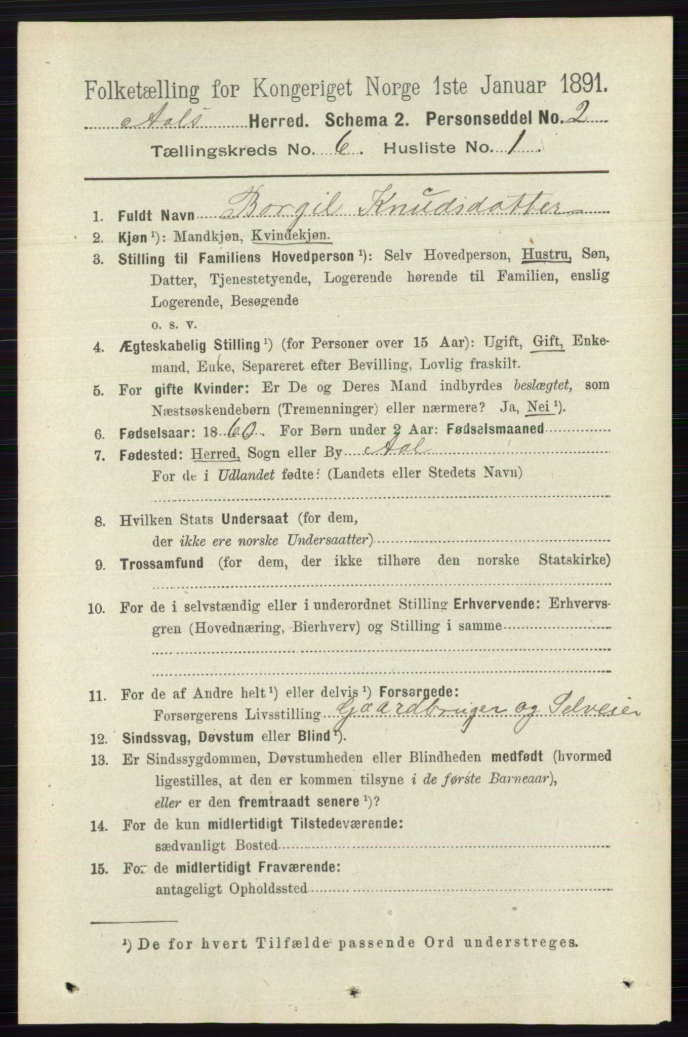 RA, 1891 census for 0619 Ål, 1891, p. 1522