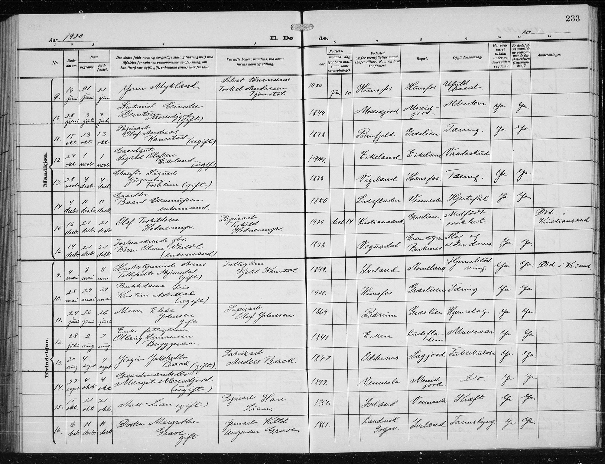 Vennesla sokneprestkontor, AV/SAK-1111-0045/Fb/Fbb/L0006: Parish register (copy) no. B 6, 1914-1921, p. 233