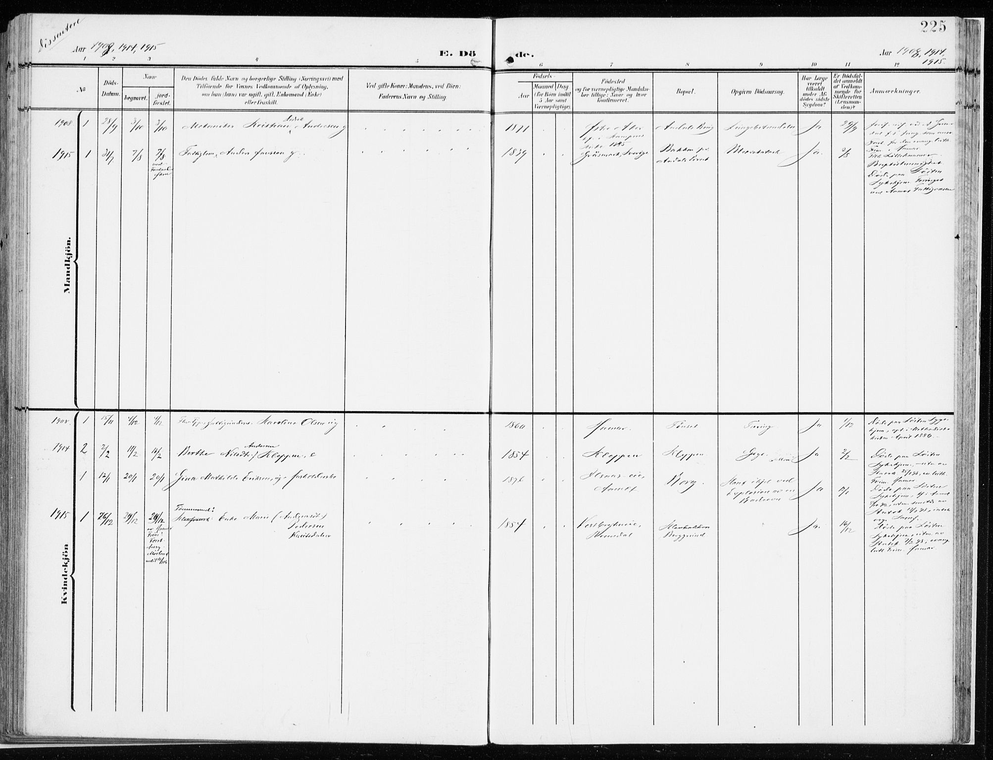 Løten prestekontor, SAH/PREST-022/K/Ka/L0011: Parish register (official) no. 11, 1908-1917, p. 225