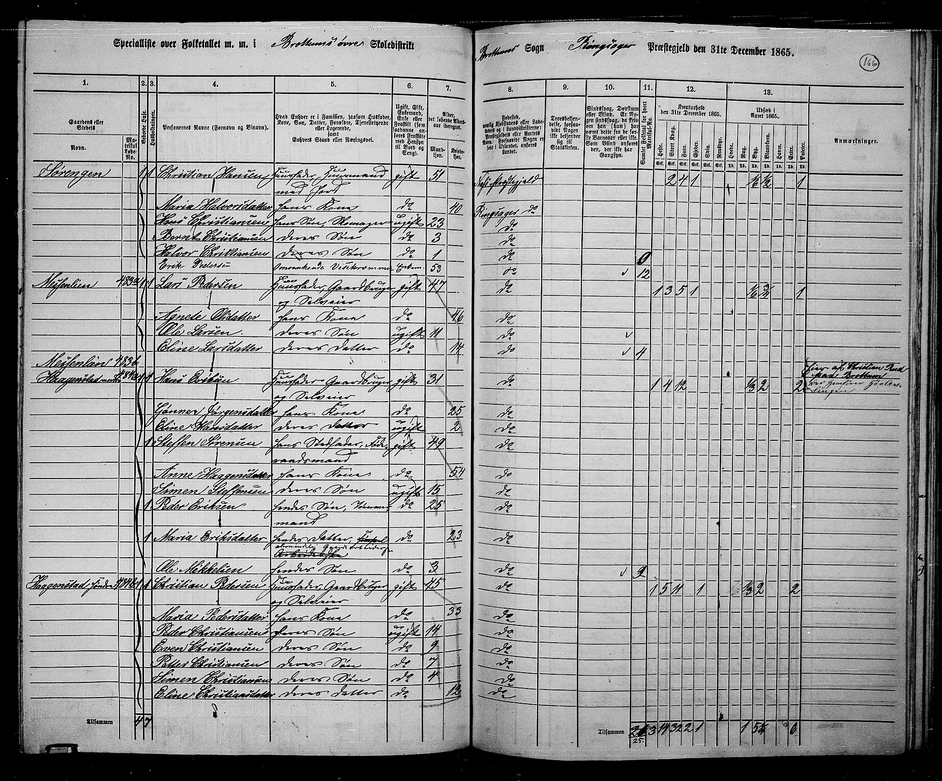 RA, 1865 census for Ringsaker, 1865, p. 410