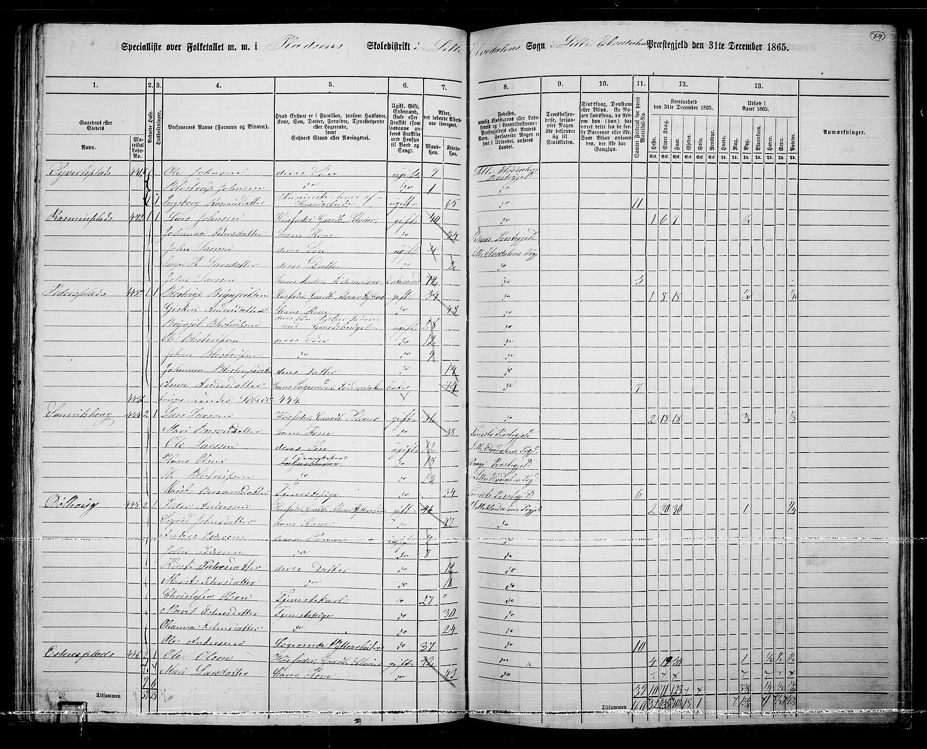 RA, 1865 census for Lille Elvedalen, 1865, p. 71