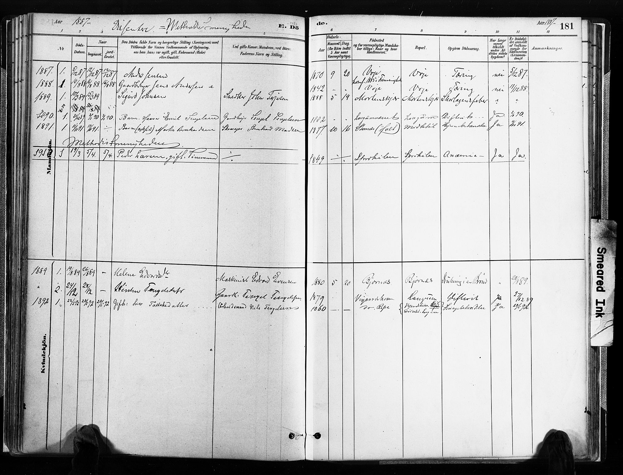 Austre Moland sokneprestkontor, SAK/1111-0001/F/Fa/Faa/L0010: Parish register (official) no. A 10, 1880-1904, p. 181
