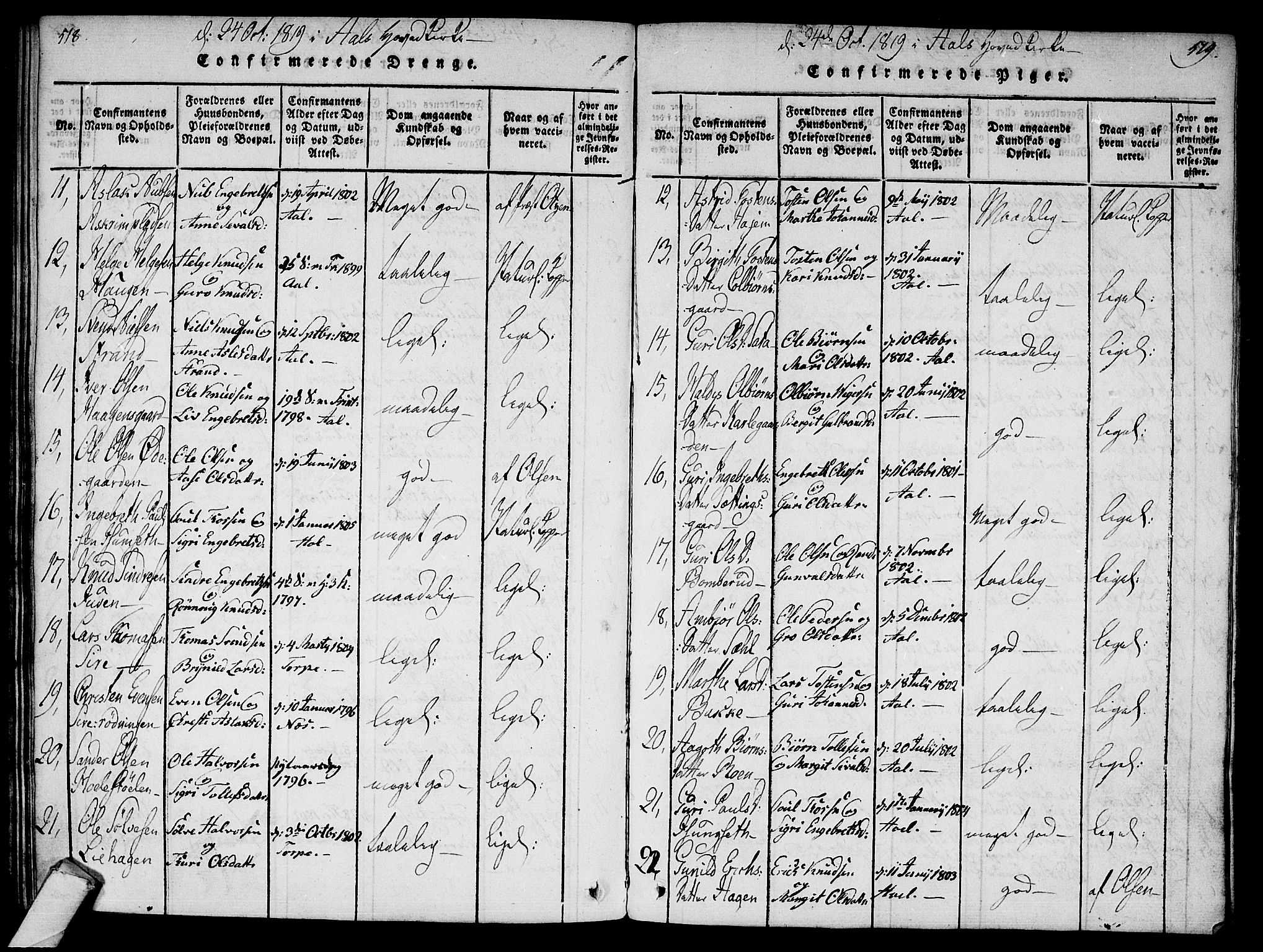 Ål kirkebøker, AV/SAKO-A-249/F/Fa/L0004: Parish register (official) no. I 4, 1815-1825, p. 518-519