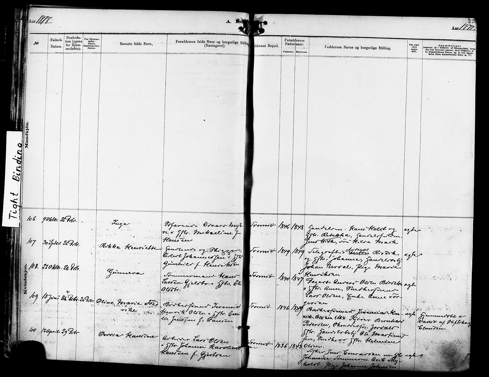 Tromsø sokneprestkontor/stiftsprosti/domprosti, AV/SATØ-S-1343/G/Ga/L0014kirke: Parish register (official) no. 14, 1878-1888, p. 22