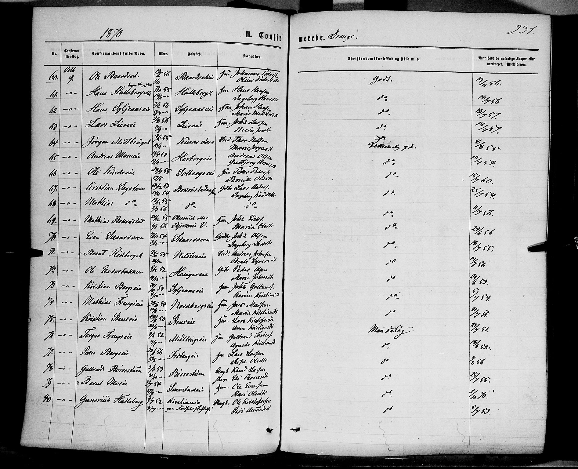 Ringsaker prestekontor, AV/SAH-PREST-014/K/Ka/L0011: Parish register (official) no. 11, 1870-1878, p. 231