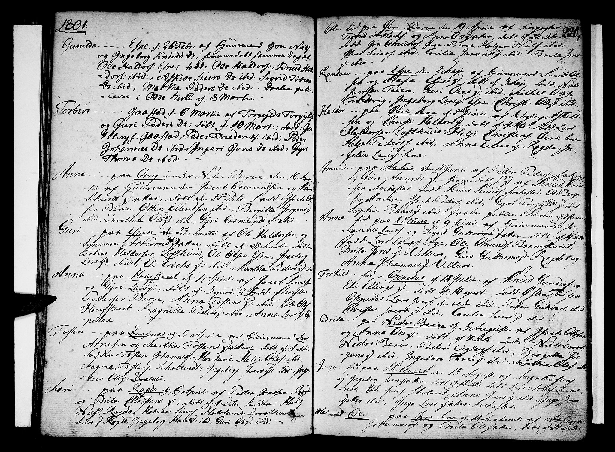 Ullensvang sokneprestembete, SAB/A-78701/H/Haa: Parish register (official) no. A 7 /1, 1788-1804, p. 219-220