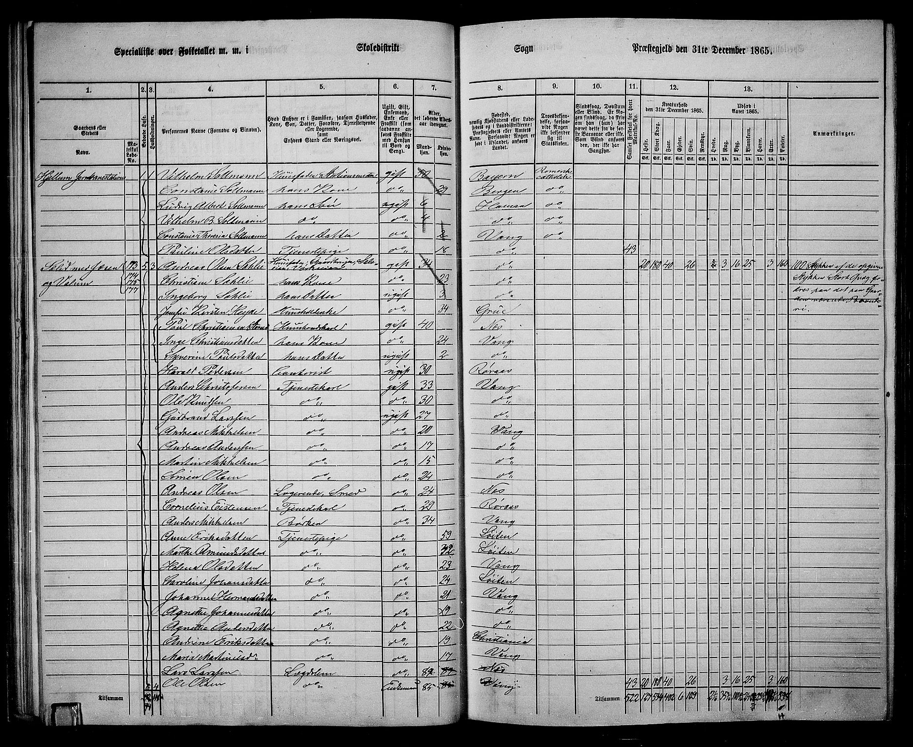 RA, 1865 census for Vang/Vang og Furnes, 1865, p. 195