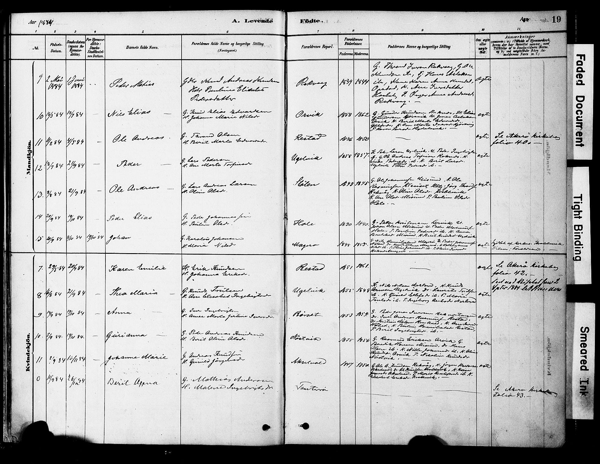 Ministerialprotokoller, klokkerbøker og fødselsregistre - Møre og Romsdal, AV/SAT-A-1454/563/L0736: Parish register (official) no. 563A01, 1878-1903, p. 19