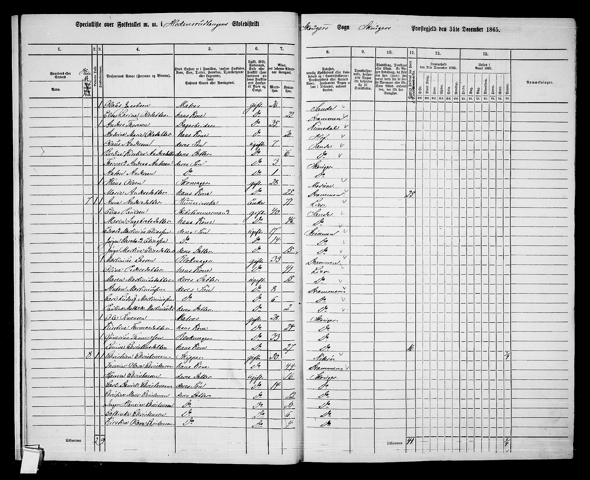 RA, 1865 census for Skoger, 1865, p. 15