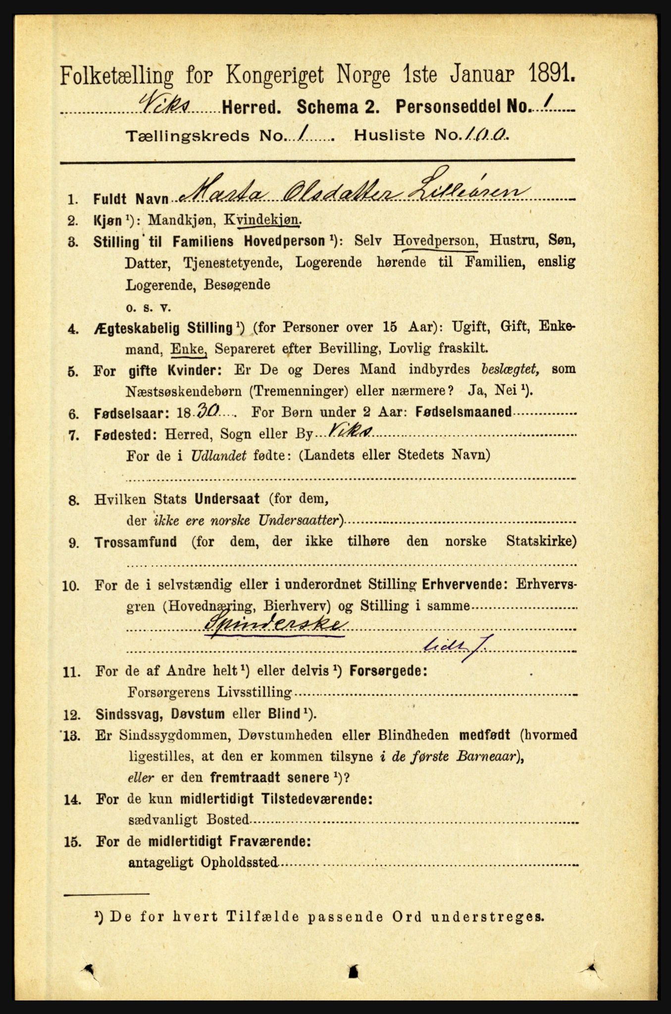 RA, 1891 census for 1417 Vik, 1891, p. 604