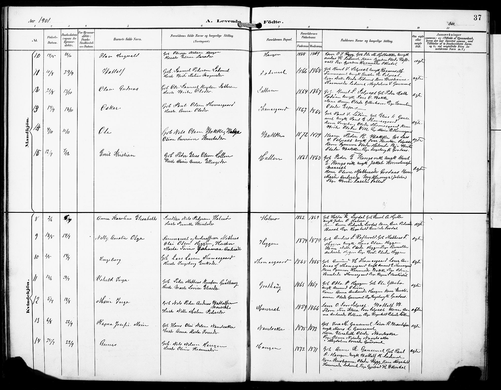 Hornindal sokneprestembete, SAB/A-82401/H/Hab: Parish register (copy) no. A 2, 1894-1927, p. 37