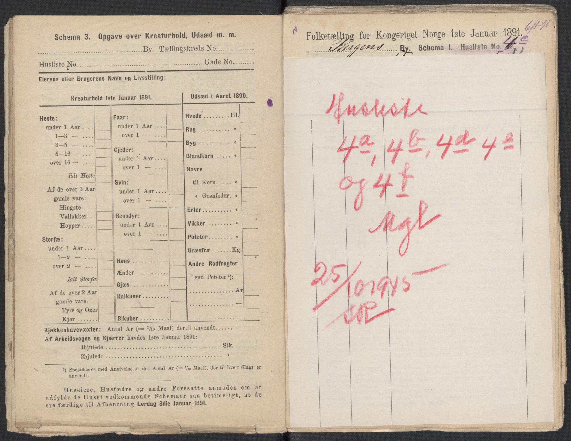 RA, 1891 Census for 1301 Bergen, 1891, p. 7433