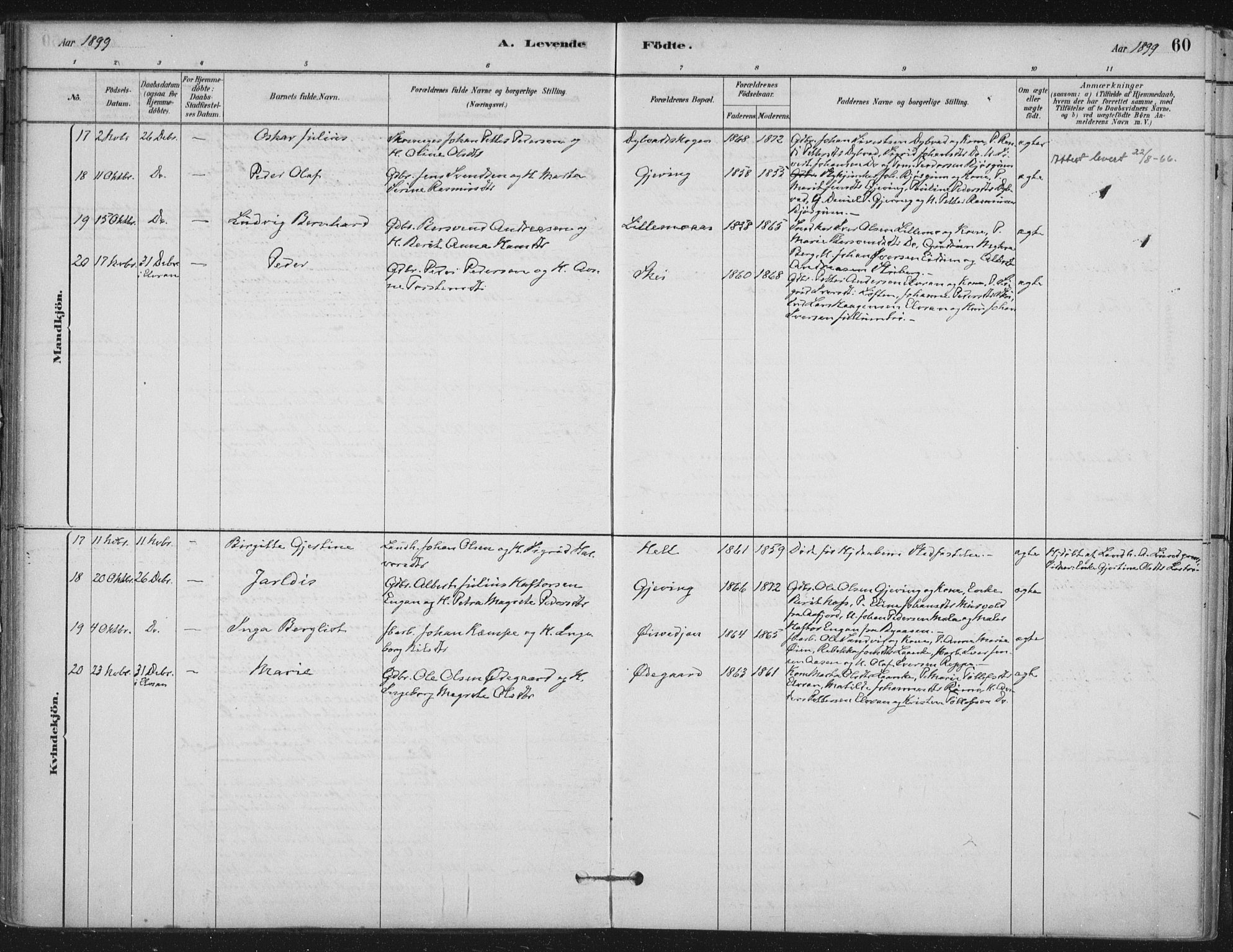 Ministerialprotokoller, klokkerbøker og fødselsregistre - Nord-Trøndelag, AV/SAT-A-1458/710/L0095: Parish register (official) no. 710A01, 1880-1914, p. 60