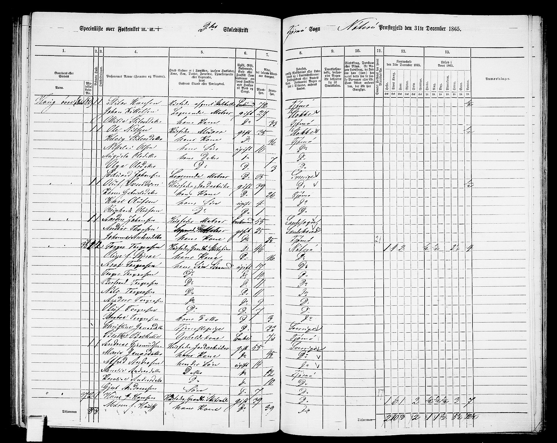 RA, 1865 census for Nøtterøy, 1865, p. 243