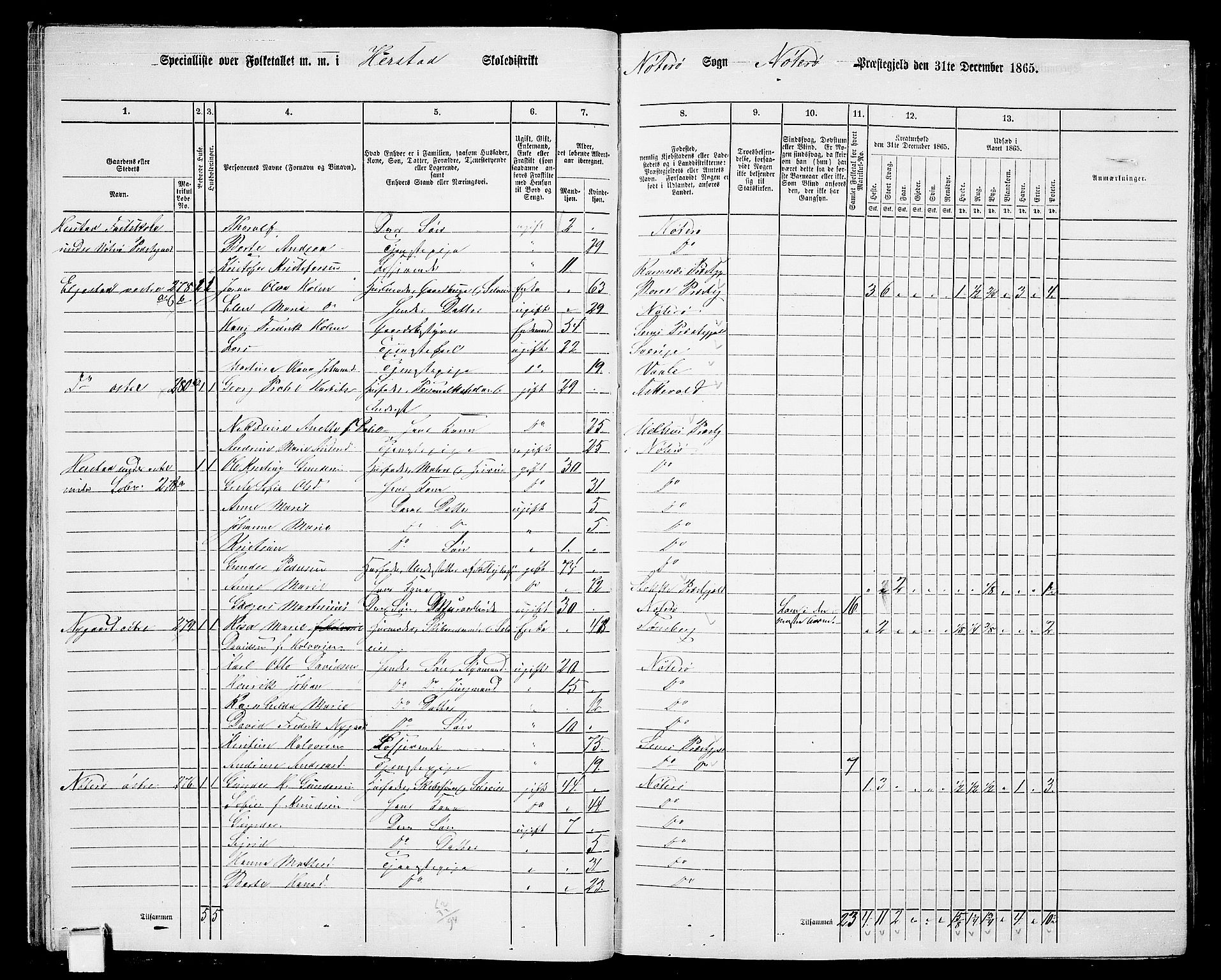 RA, 1865 census for Nøtterøy, 1865, p. 29