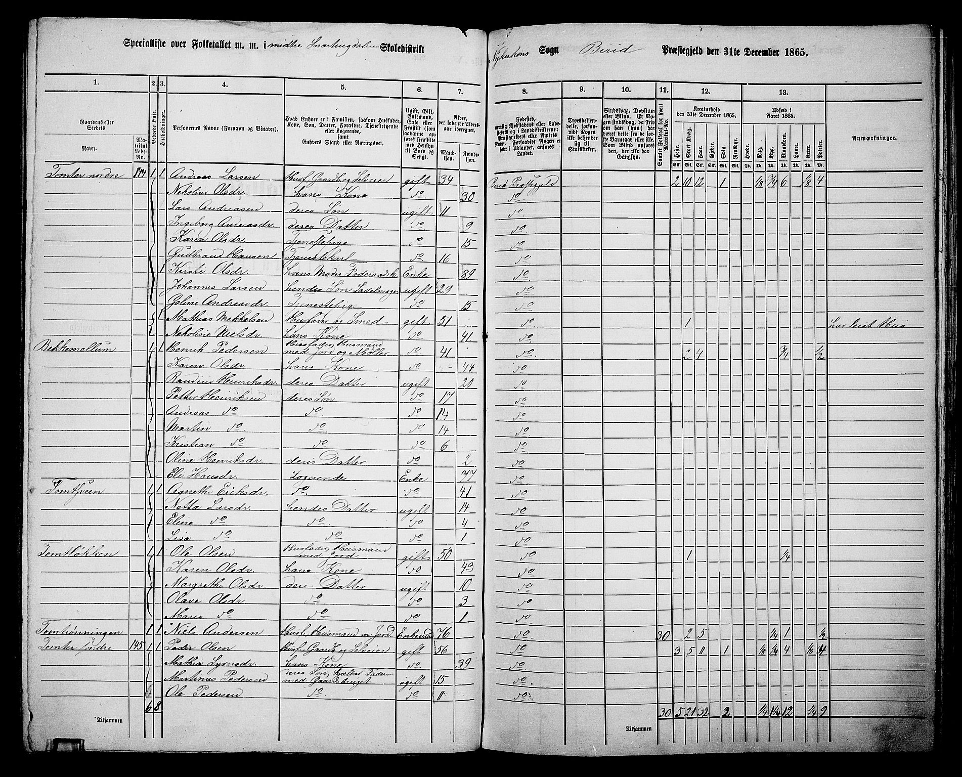 RA, 1865 census for Biri, 1865, p. 141