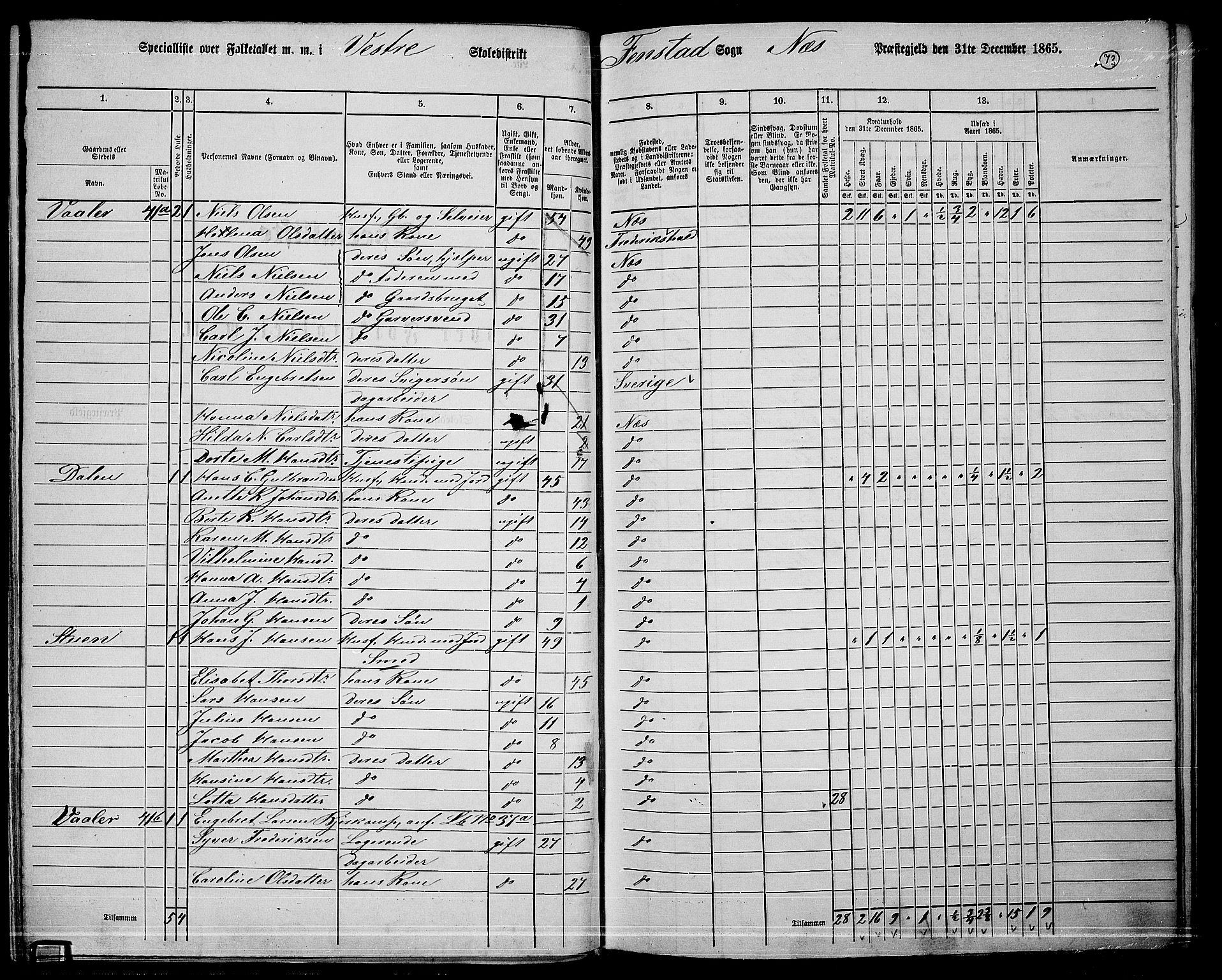 RA, 1865 census for Nes, 1865, p. 66